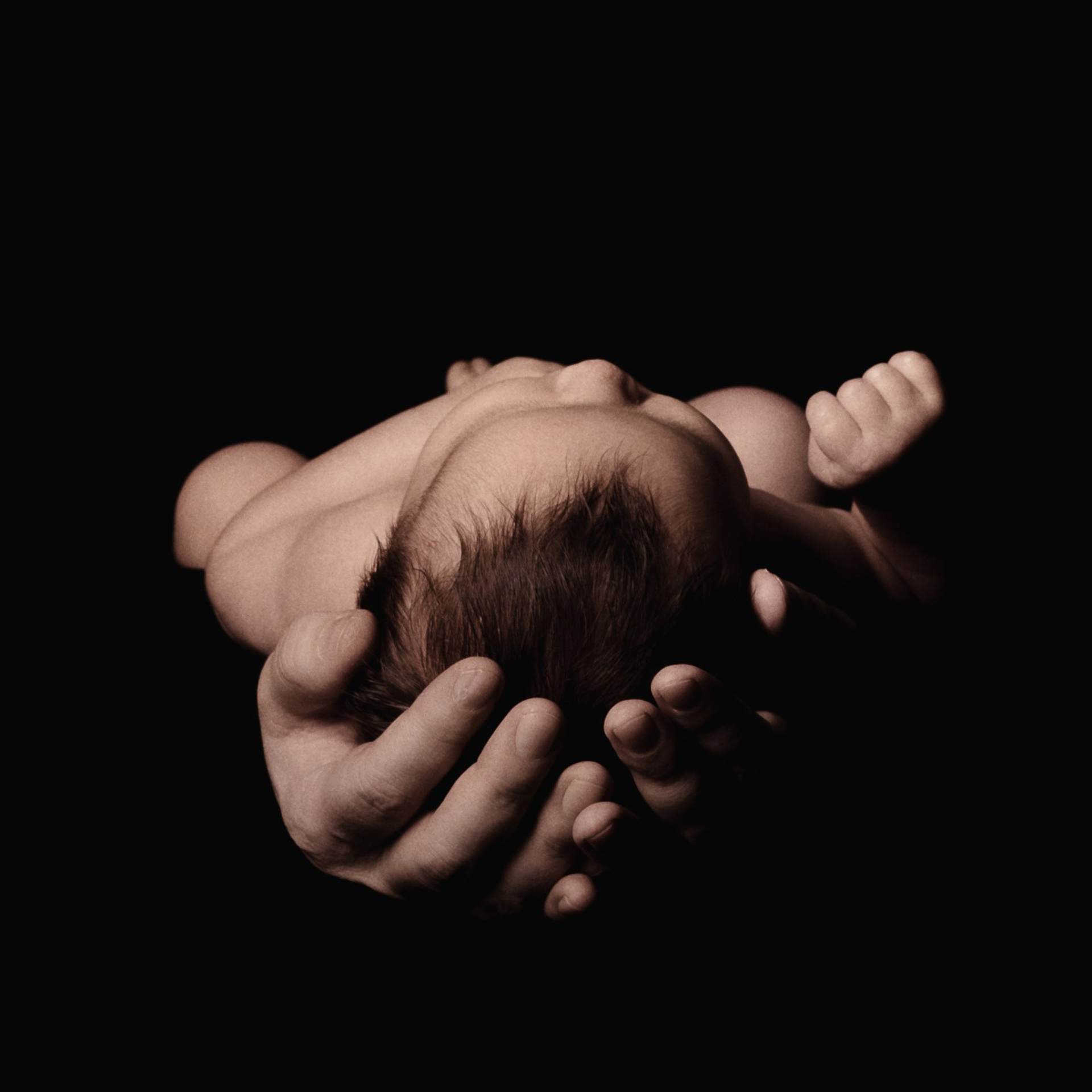 Владимир. Фотографы в Орле Шестопаловы Юлия и Юрий