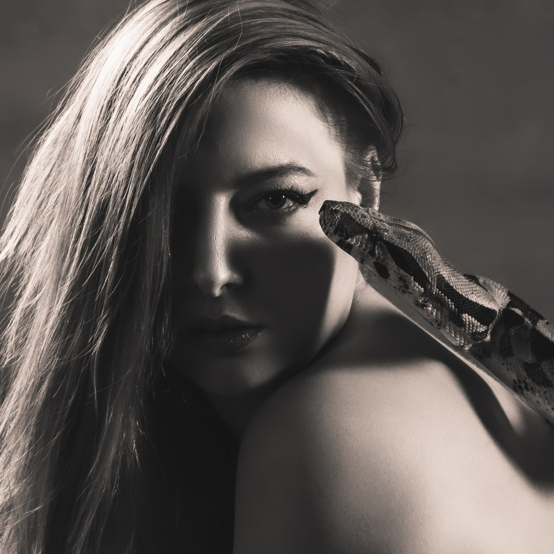 Змеи/питон/удав