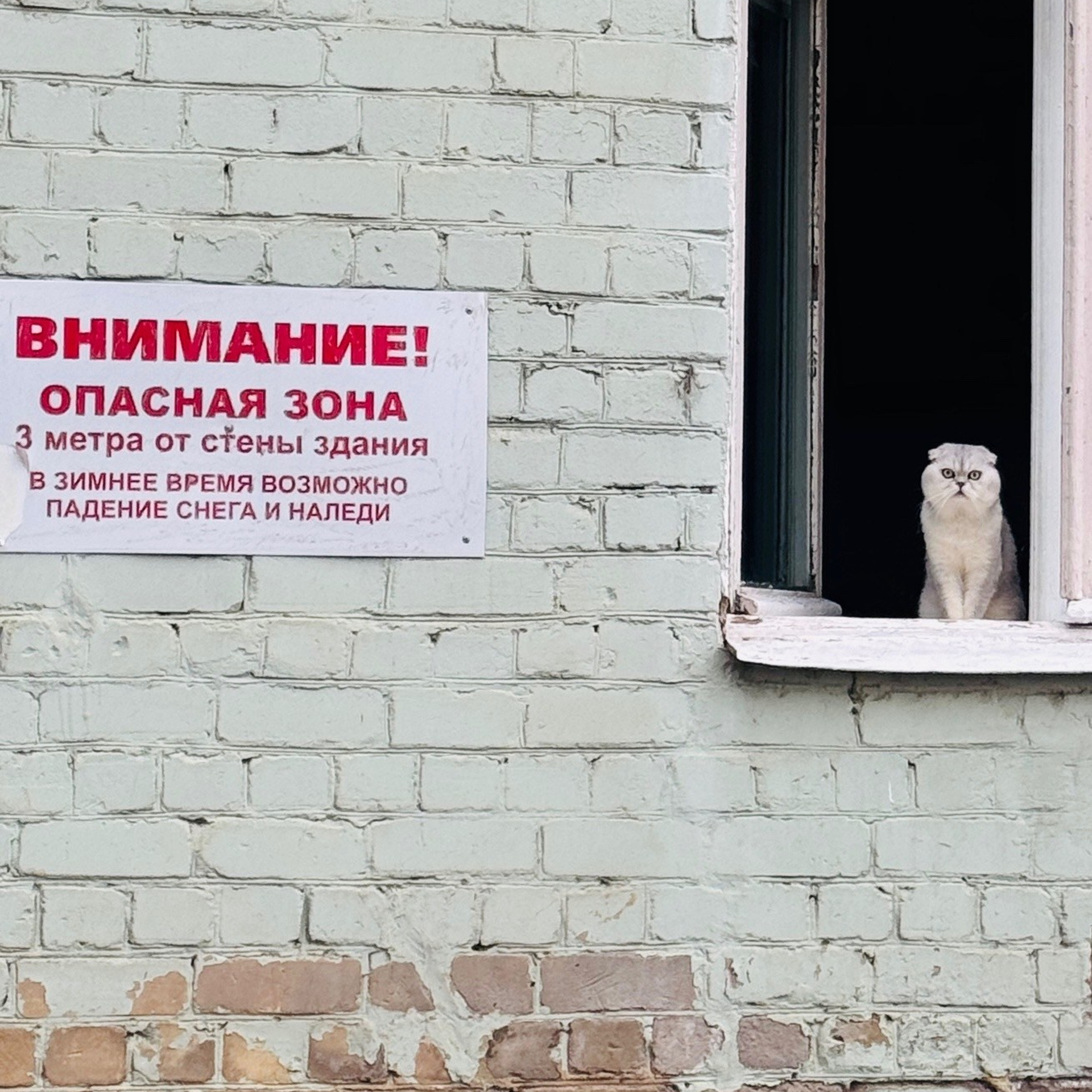 Животные / Animals. Профессиональный портретный фотограф в Орле Шестопалова Юлия