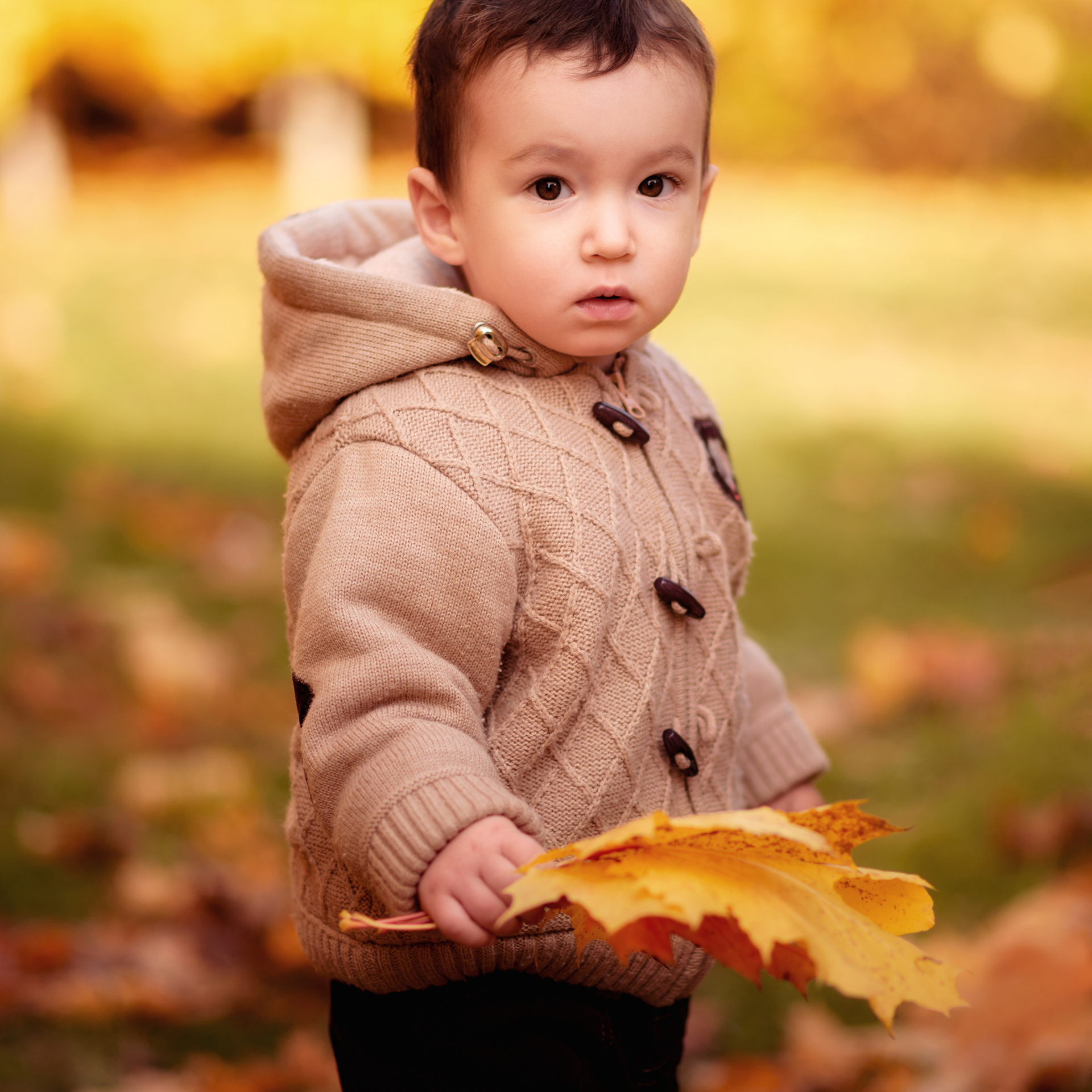 Катя -осенняя фотосессия. Фотографы в Орле Шестопаловы Юлия и Юрий