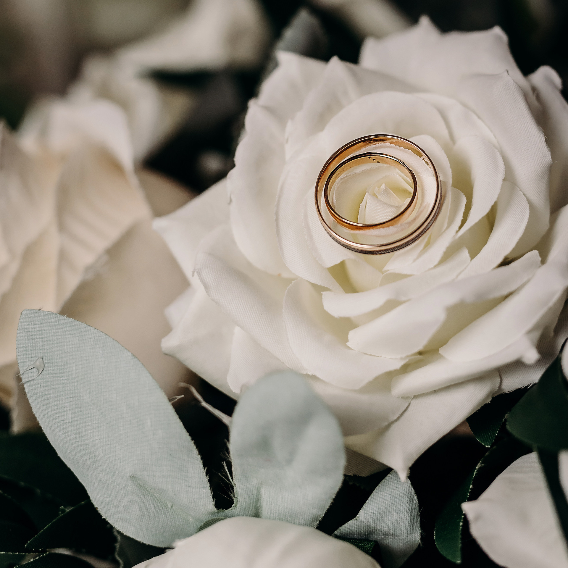 Отзывы. Свадебный и семейный фотограф в Самаре Надежда Раскина