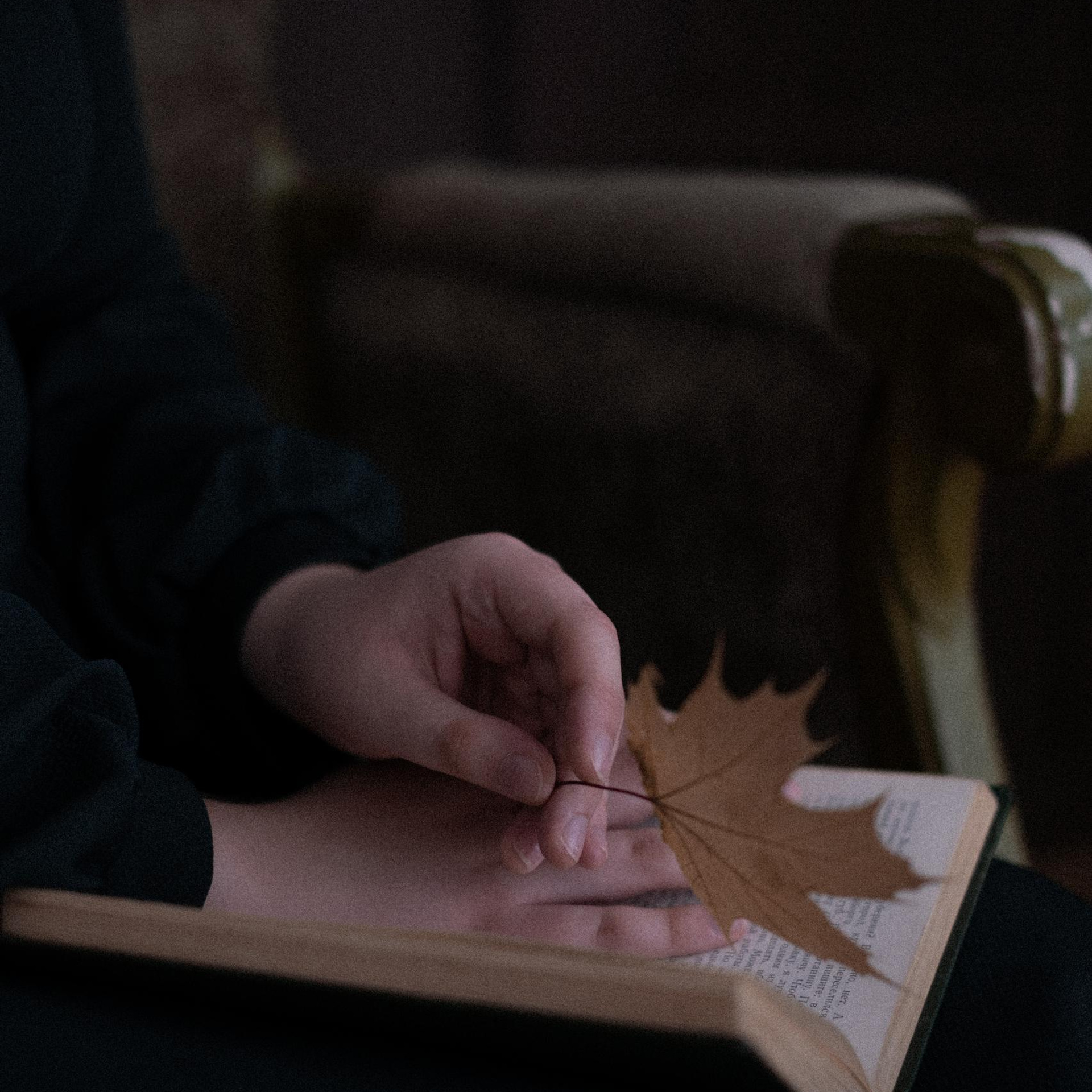 Отзывы. Фотограф в Барнауле и на Алтае Маша Савова