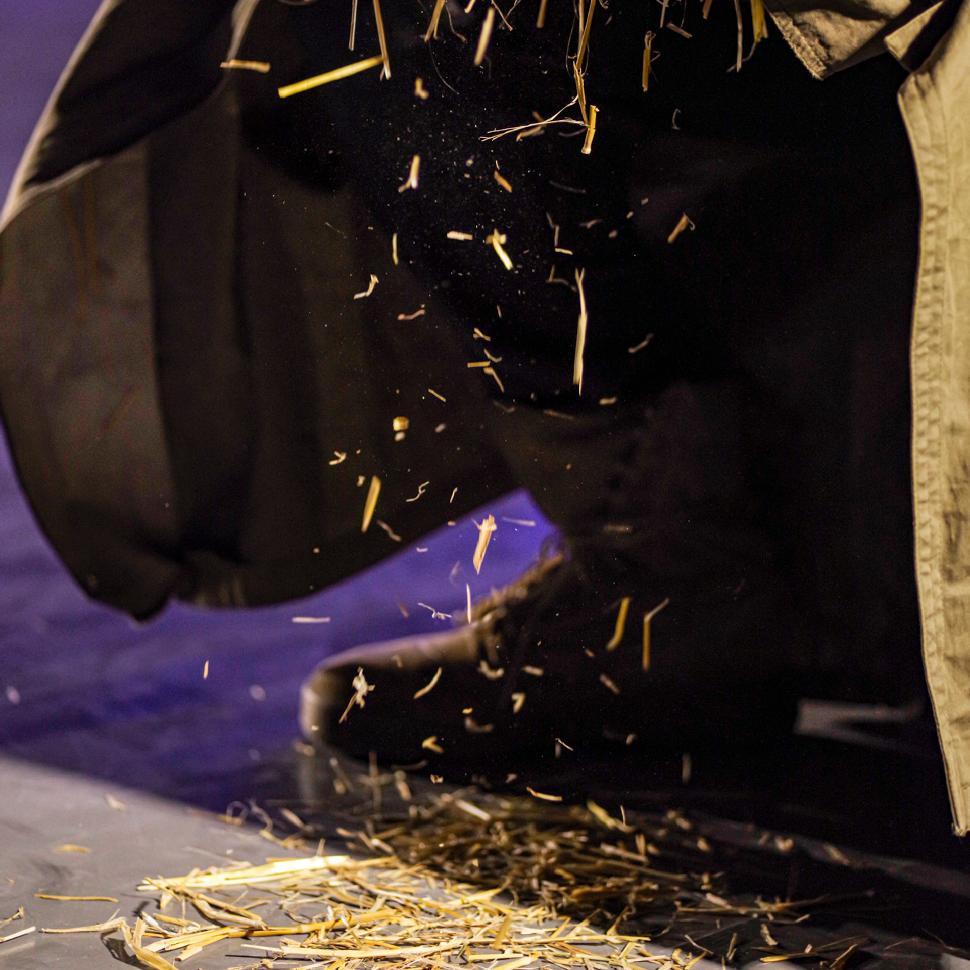 Отзывы. Портретный фотограф Денис Милютин