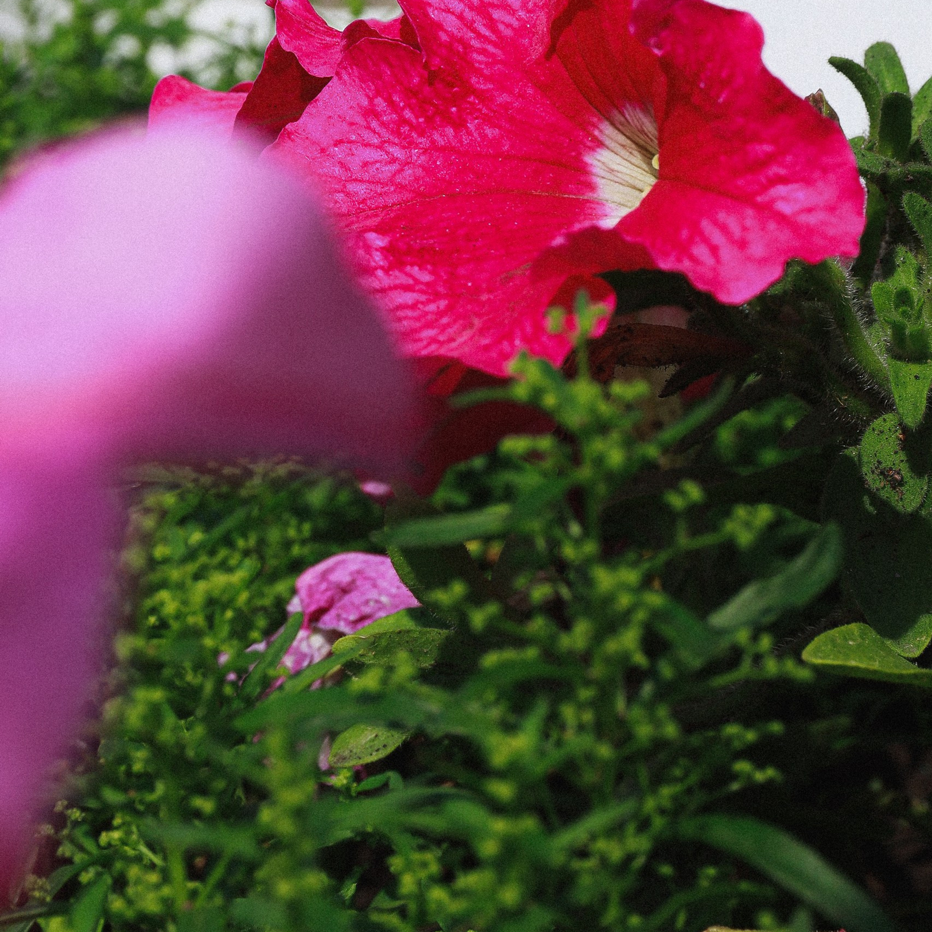 Отзывы о работе фотографа, Забелина отзывы. Фотограф историй в Челябинске и Екб