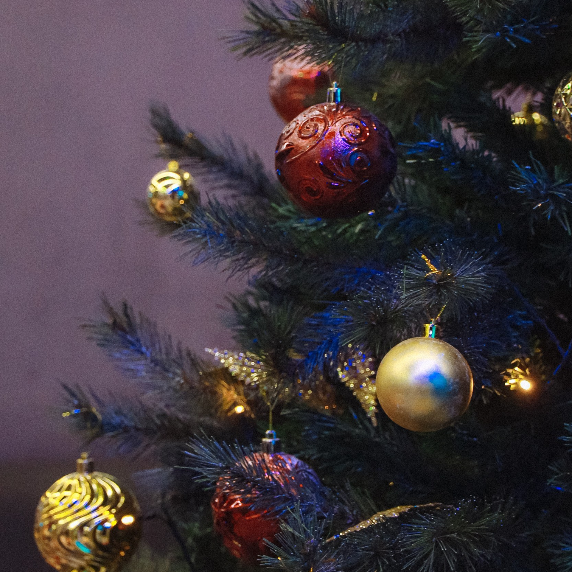 Отзывы о работе фотографа, Забелина отзывы. Фотограф историй в Челябинске и Екб