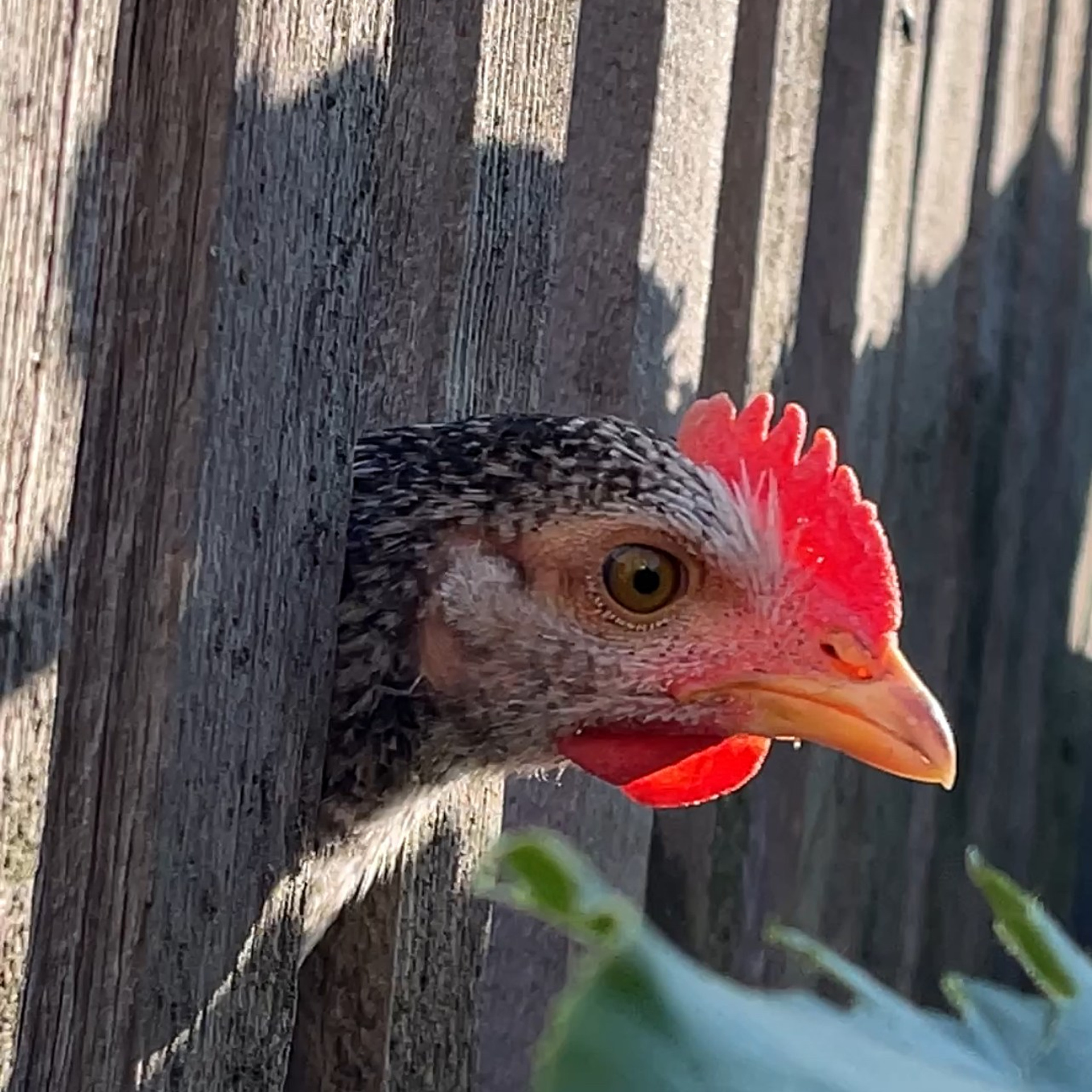 КАК УВИДЕТЬ ФОТОГРАФИЮ ТАМ, ГДЕ ЕЁ «НЕ МОЖЕТ БЫТЬ». Фотография в неожиданных местах: от повседневных объектов до абстракций. Детский и семейный фотограф в Павлодаре Оксана Солей. Школа моделей