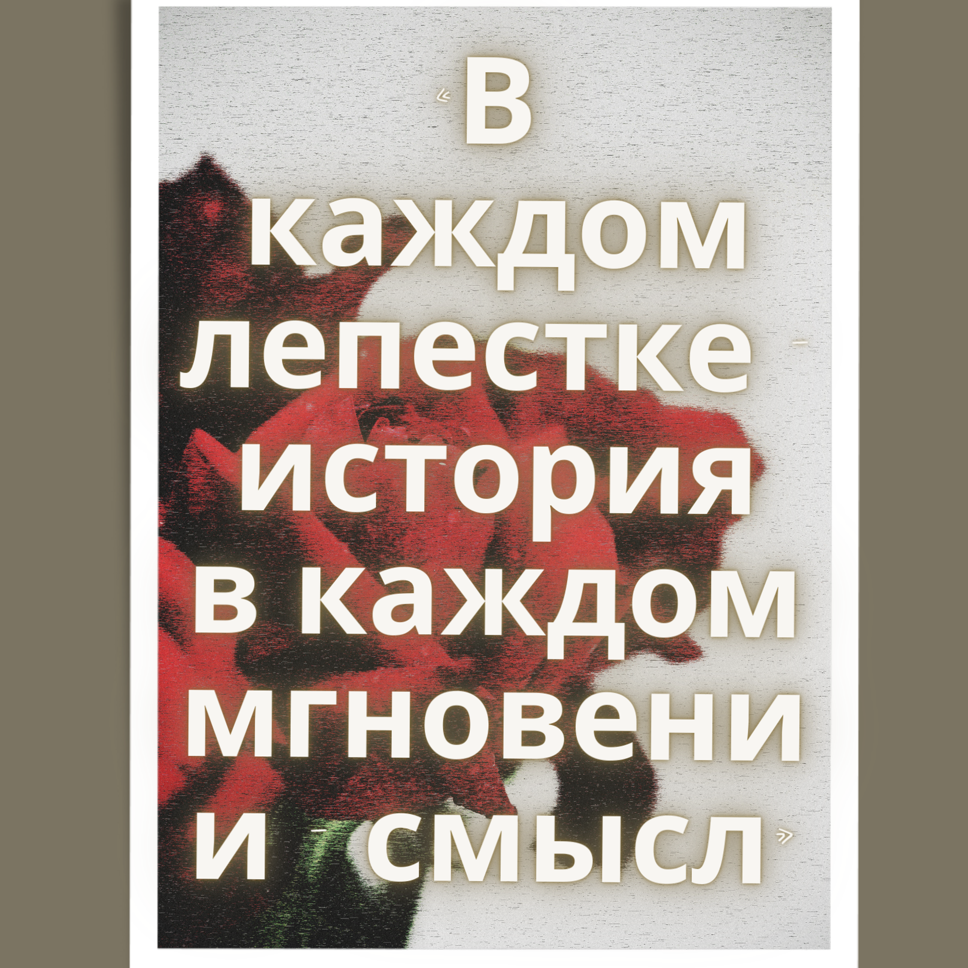 УСЛУГИ. ОЛЬГА РЭД: ВЫВОЖУ ЛИЧНОСТИ В МАСШТАБ | Лайф-коуч, Маркетолог и Арт-фотограф | Москва