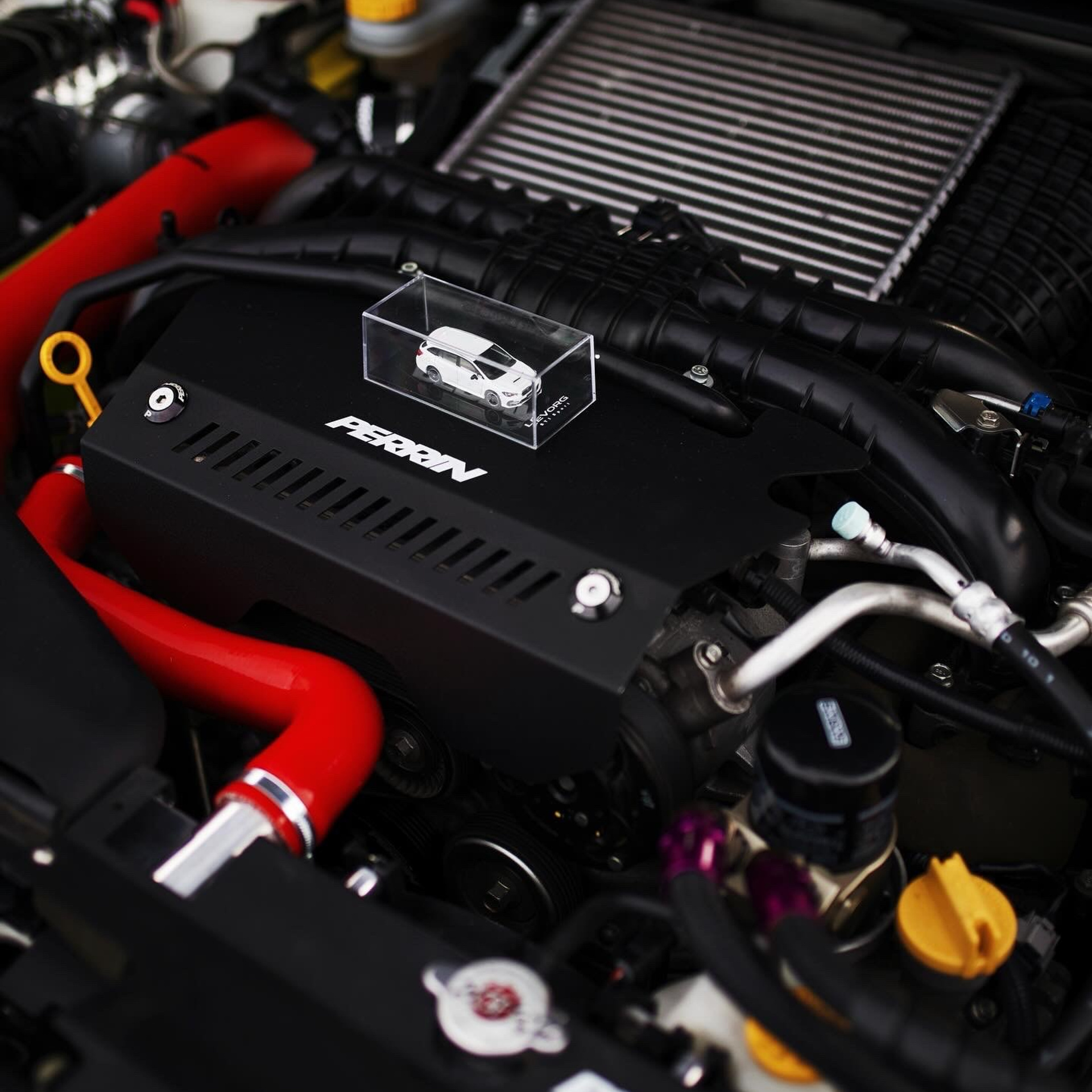 DKARPOCHEVA PHOTOGRAPHY