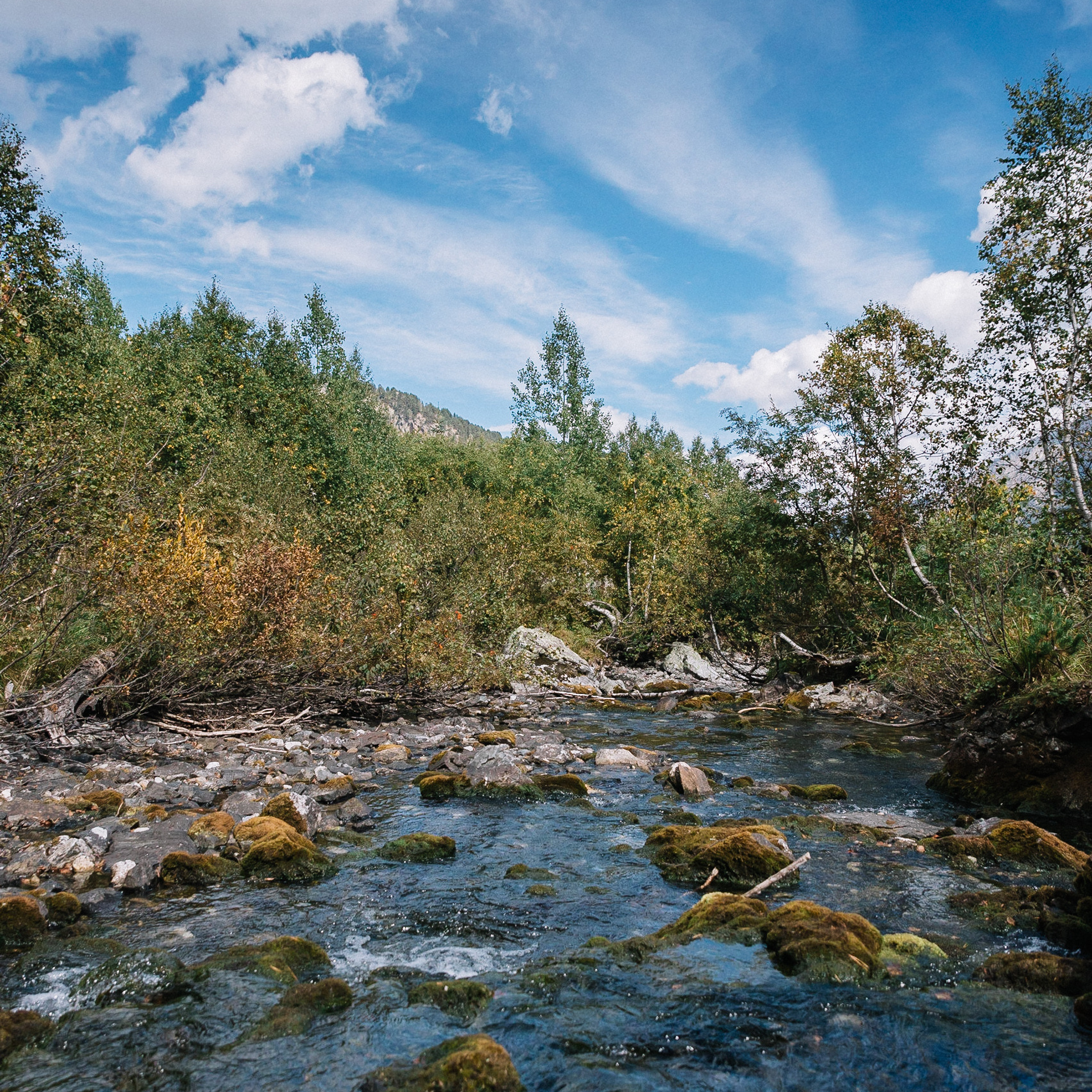 Отзывы. Меня зовут Стас Барыкин, я фотограф. Живу и работаю в Ростове-на-Дону