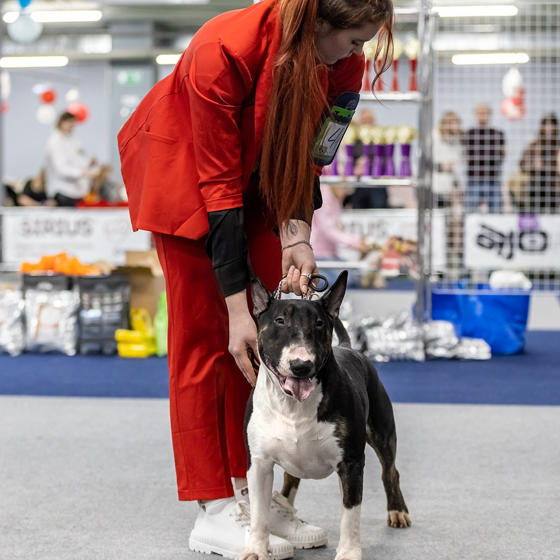 Отзывы. Борис Артамонов фотограф — анималист. Москва
