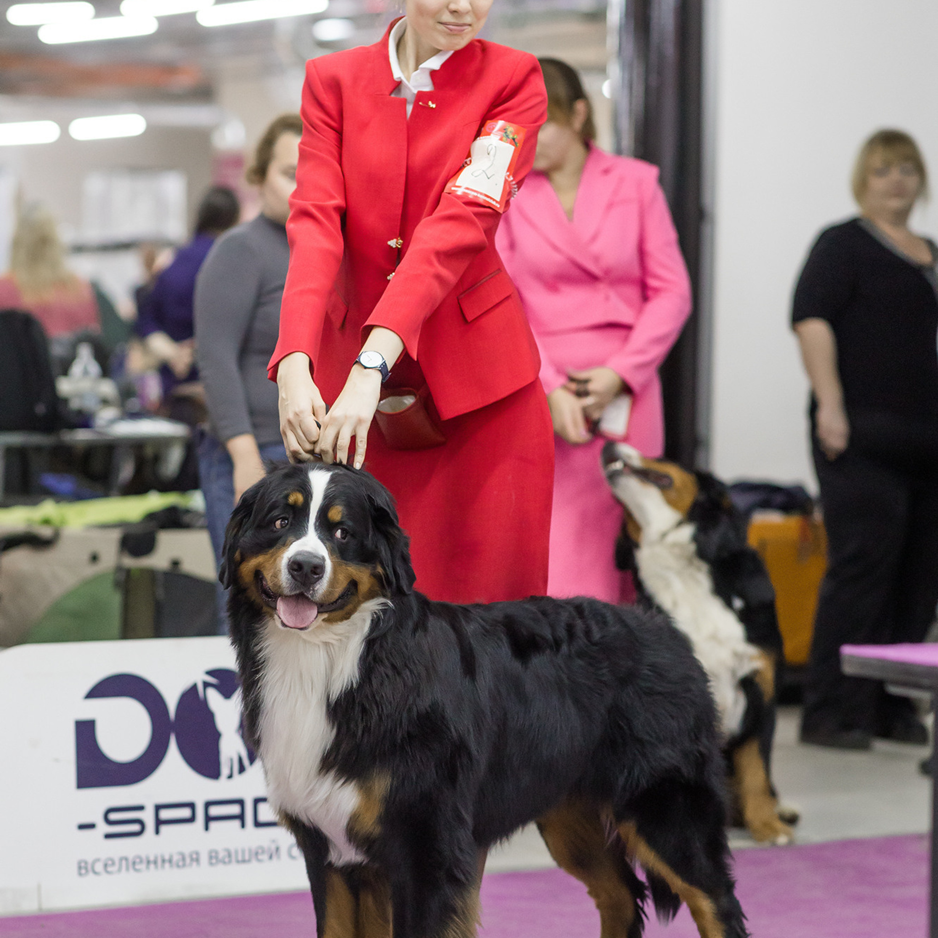 Отзывы. Борис Артамонов фотограф — анималист. Москва