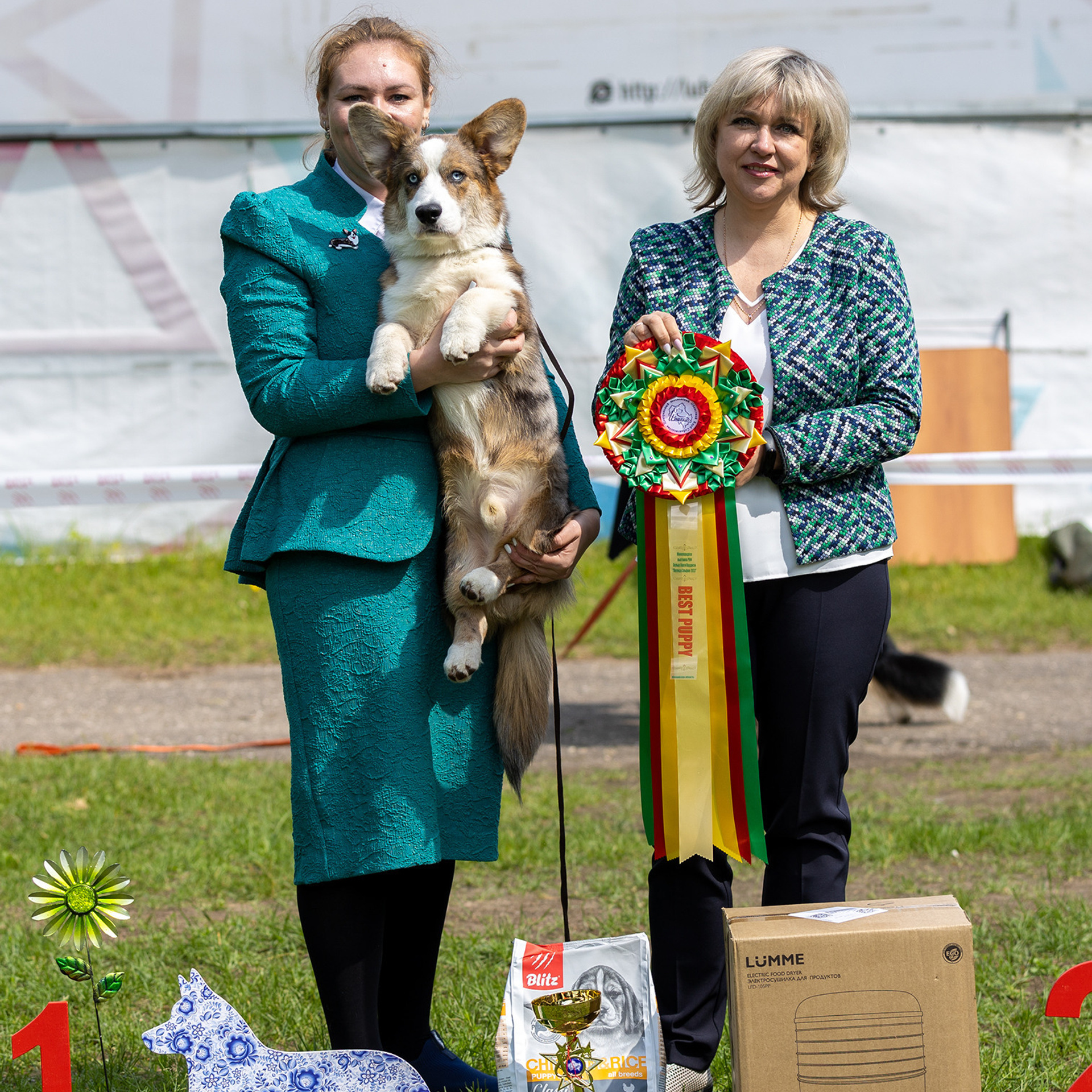 Отзывы. Борис Артамонов фотограф — анималист. Москва