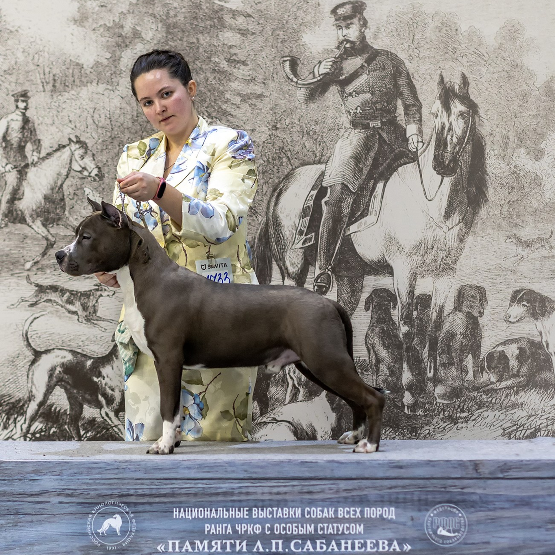 Отзывы. Борис Артамонов фотограф — анималист. Москва