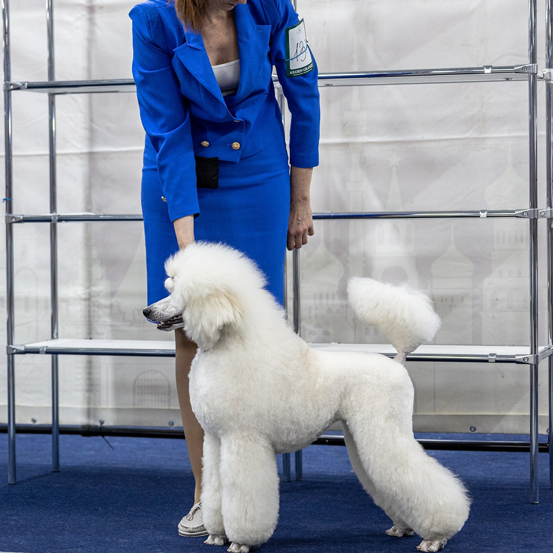 Отзывы. Борис Артамонов фотограф — анималист. Москва