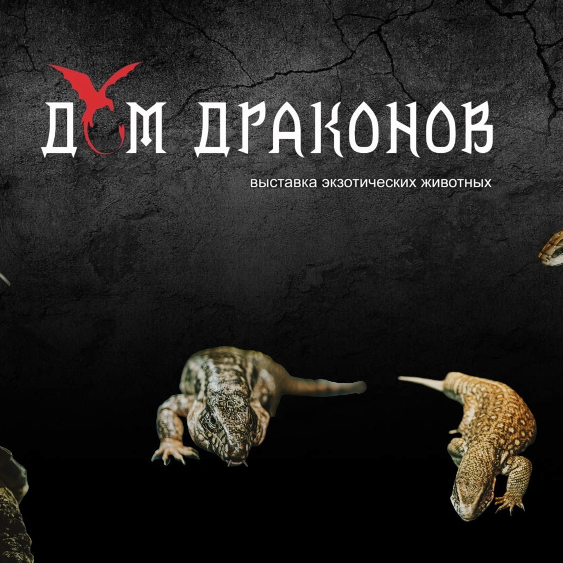 Отзывы. Nattie.ph