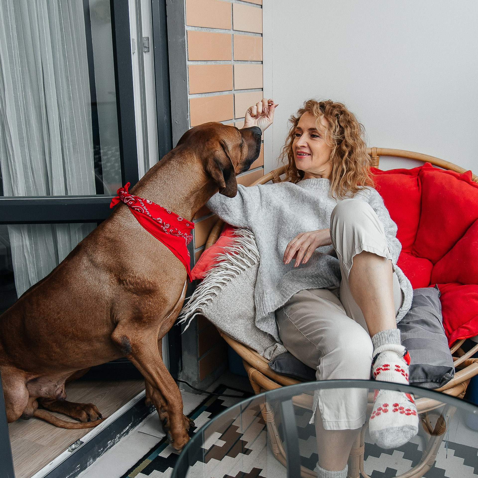 Елена и ее рыжие питомцы 🧡