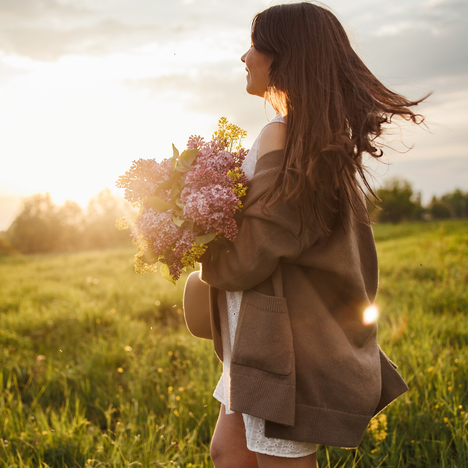 Закат в поле