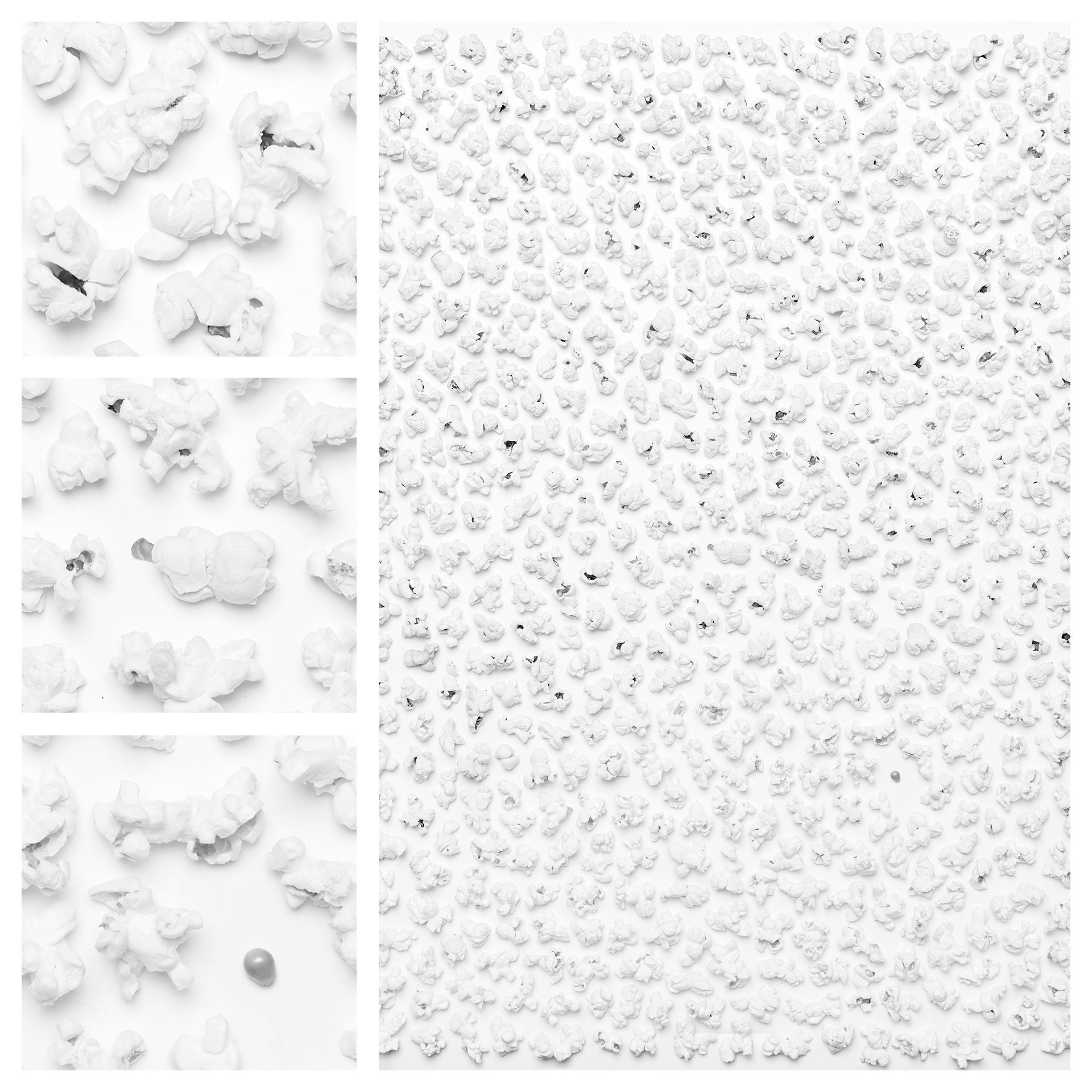 Фотография «Попкорн N1». Владимир Вохмянин. Фотограф в Санкт-Петербурге