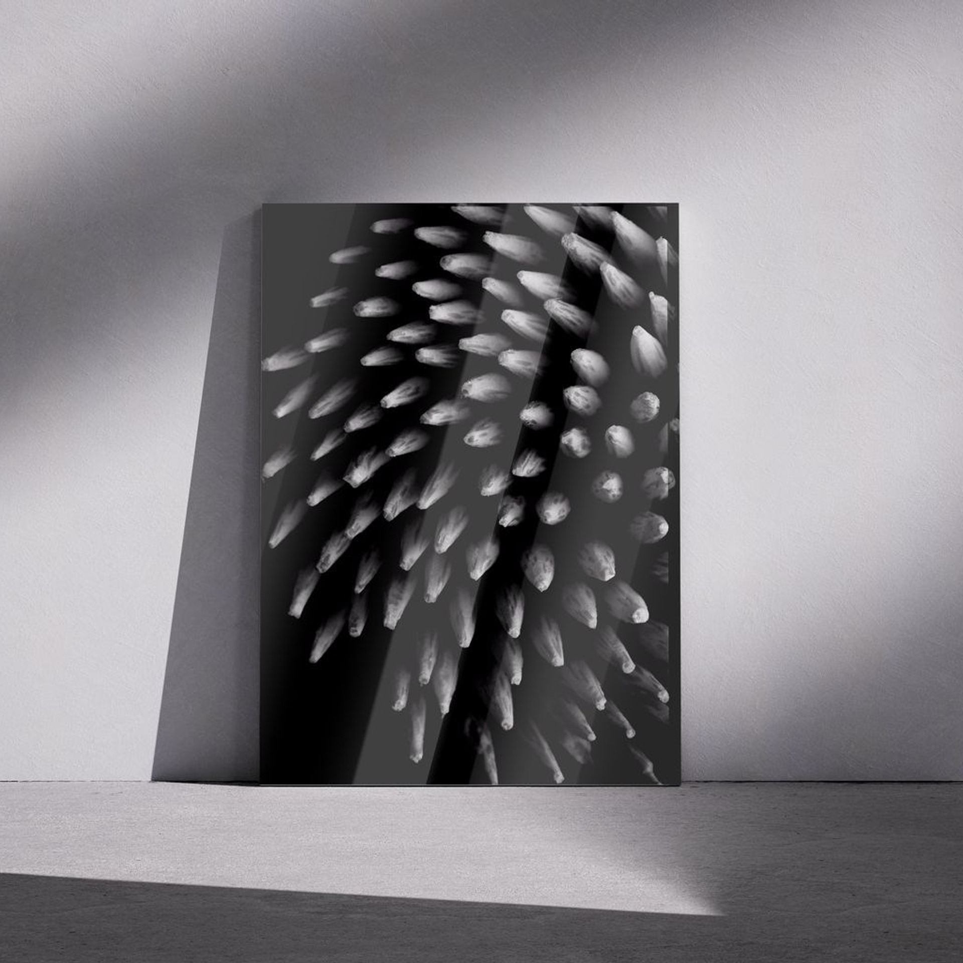 Фотография «Зубочистки N2». Владимир Вохмянин. Фотограф в Санкт-Петербурге