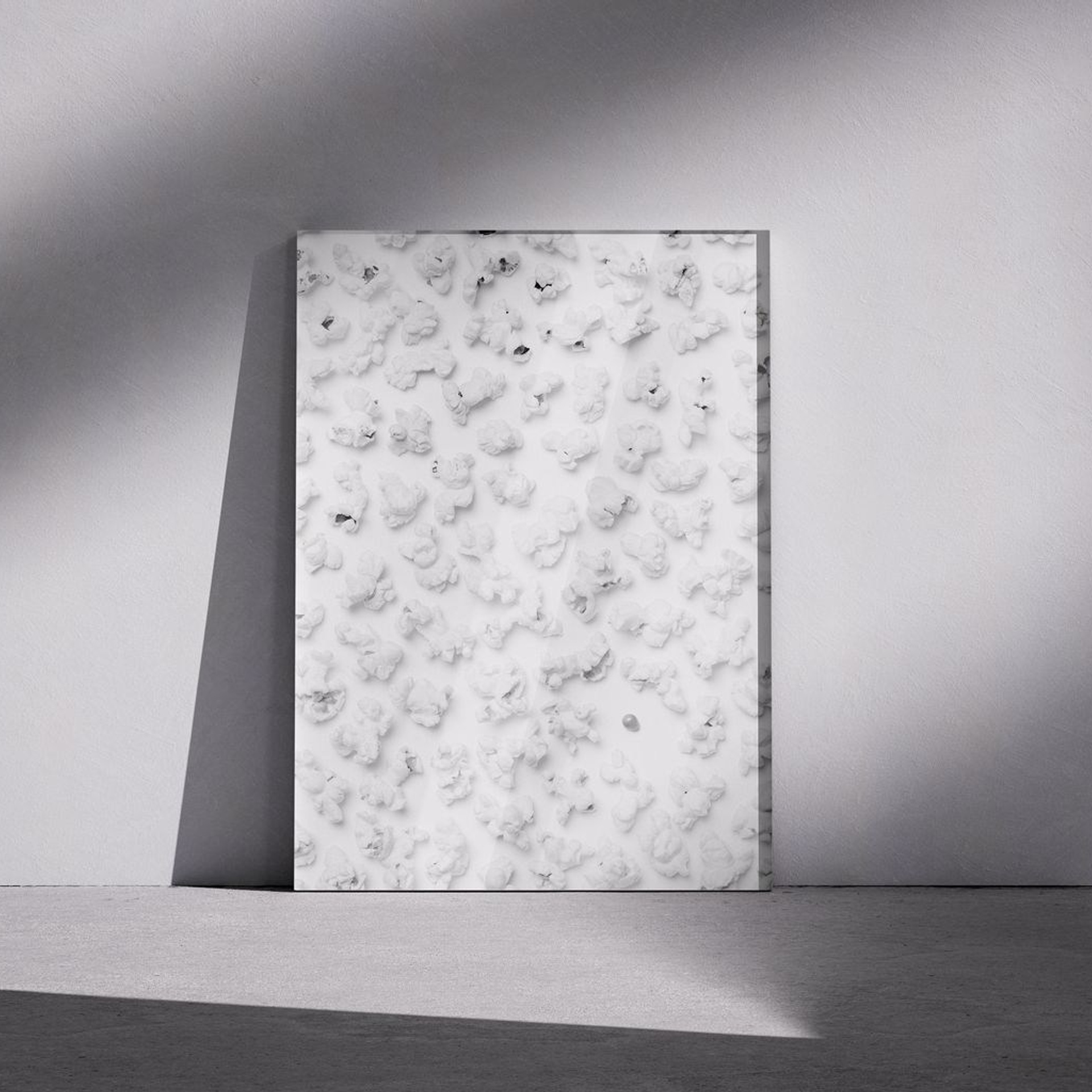 Фотография «Попкорн N2». Владимир Вохмянин. Фотограф в Санкт-Петербурге