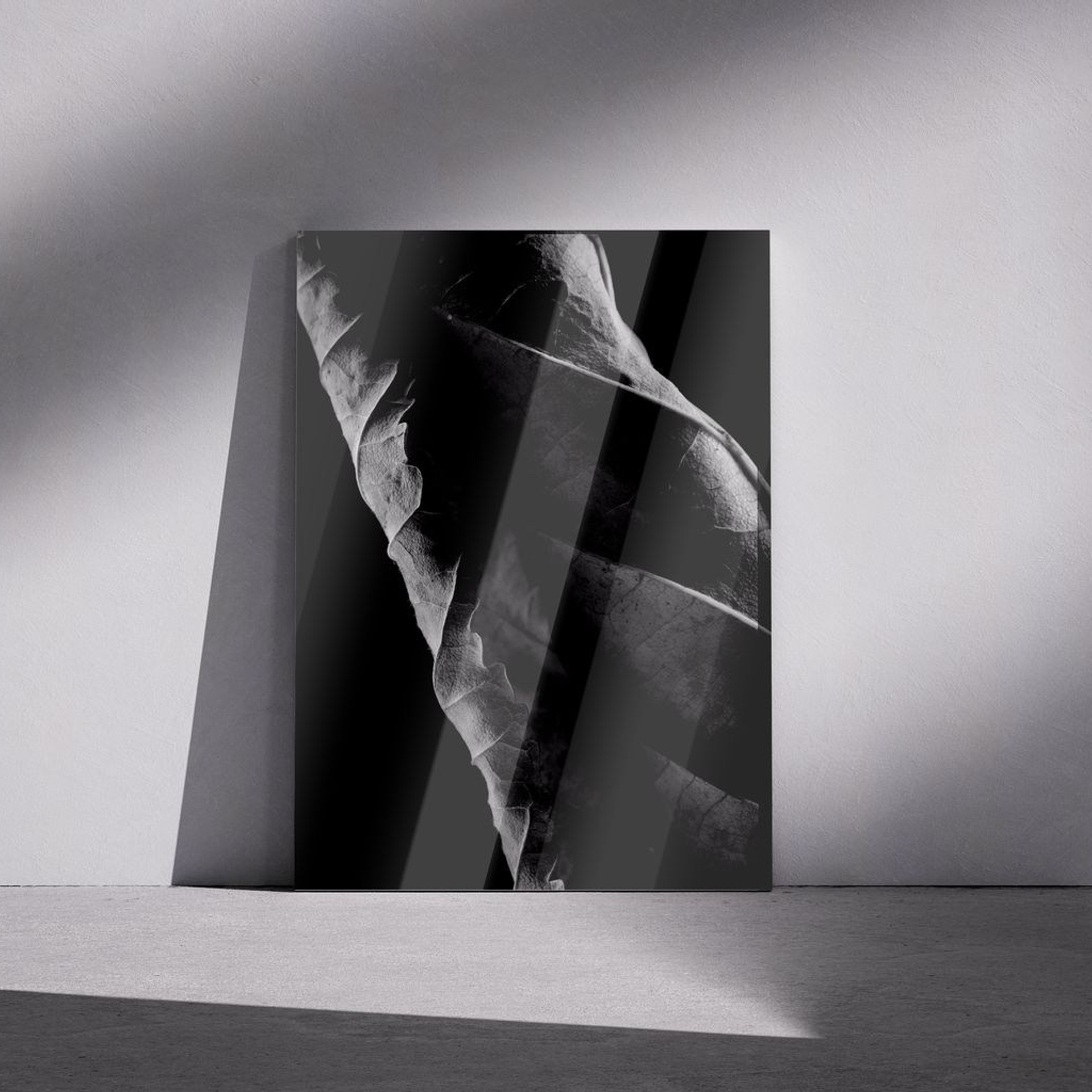 Фотография «Сухой лист N2». Владимир Вохмянин. Фотограф в Санкт-Петербурге