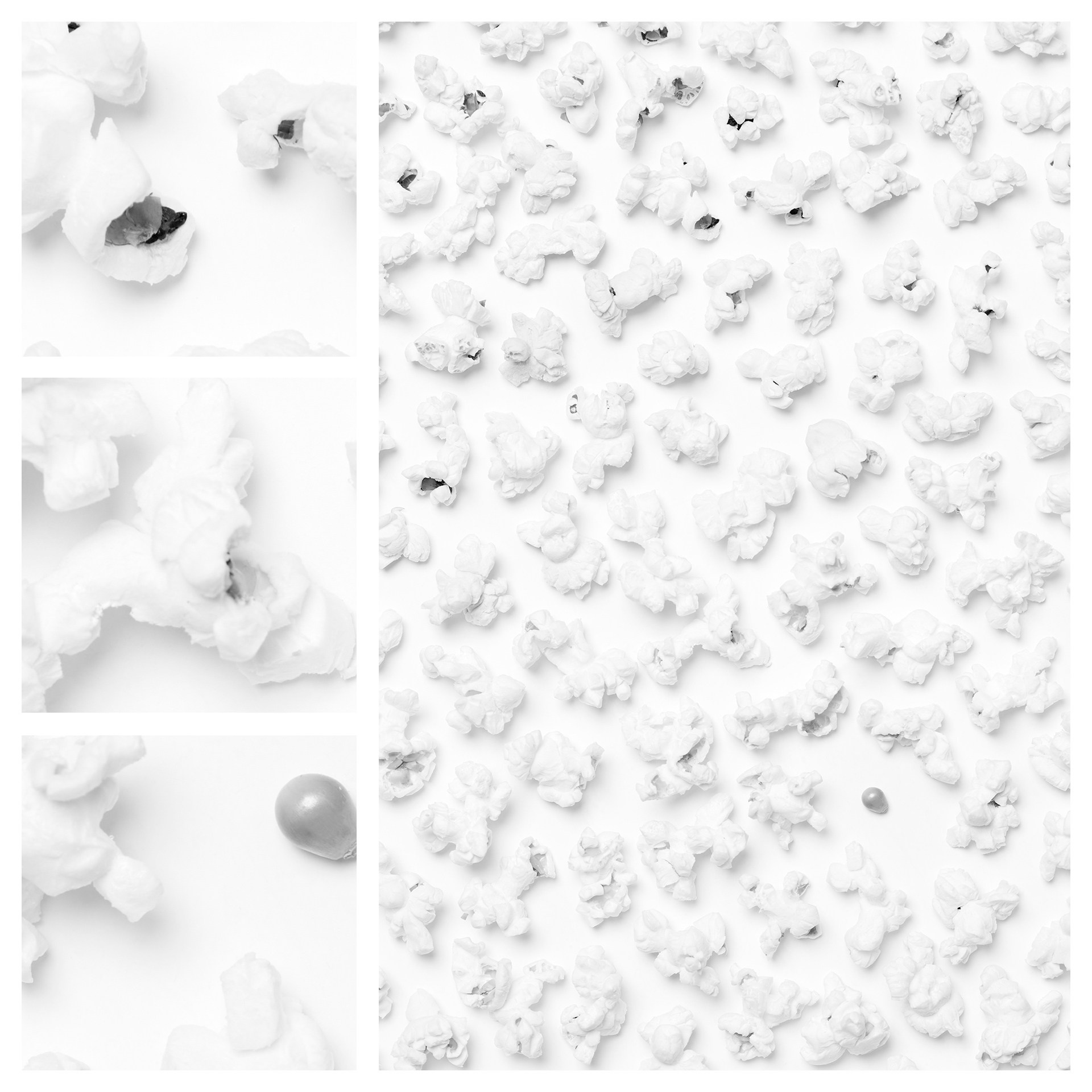 Фотография «Попкорн N2». Владимир Вохмянин. Фотограф в Санкт-Петербурге