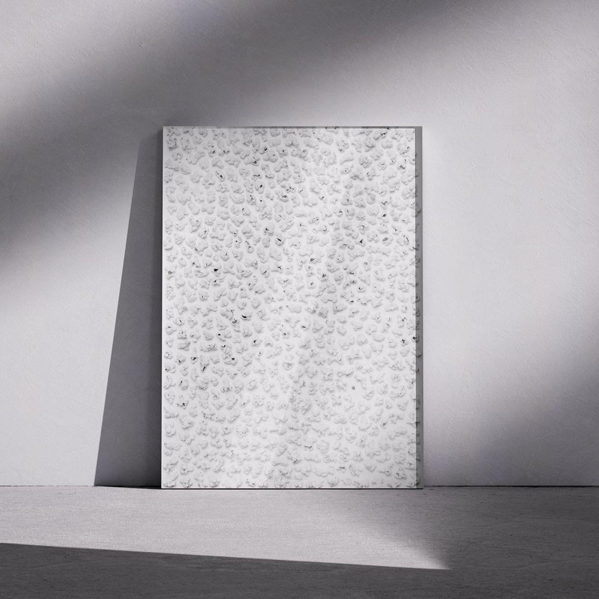 Фотография «Попкорн N1». Владимир Вохмянин. Фотограф в Санкт-Петербурге