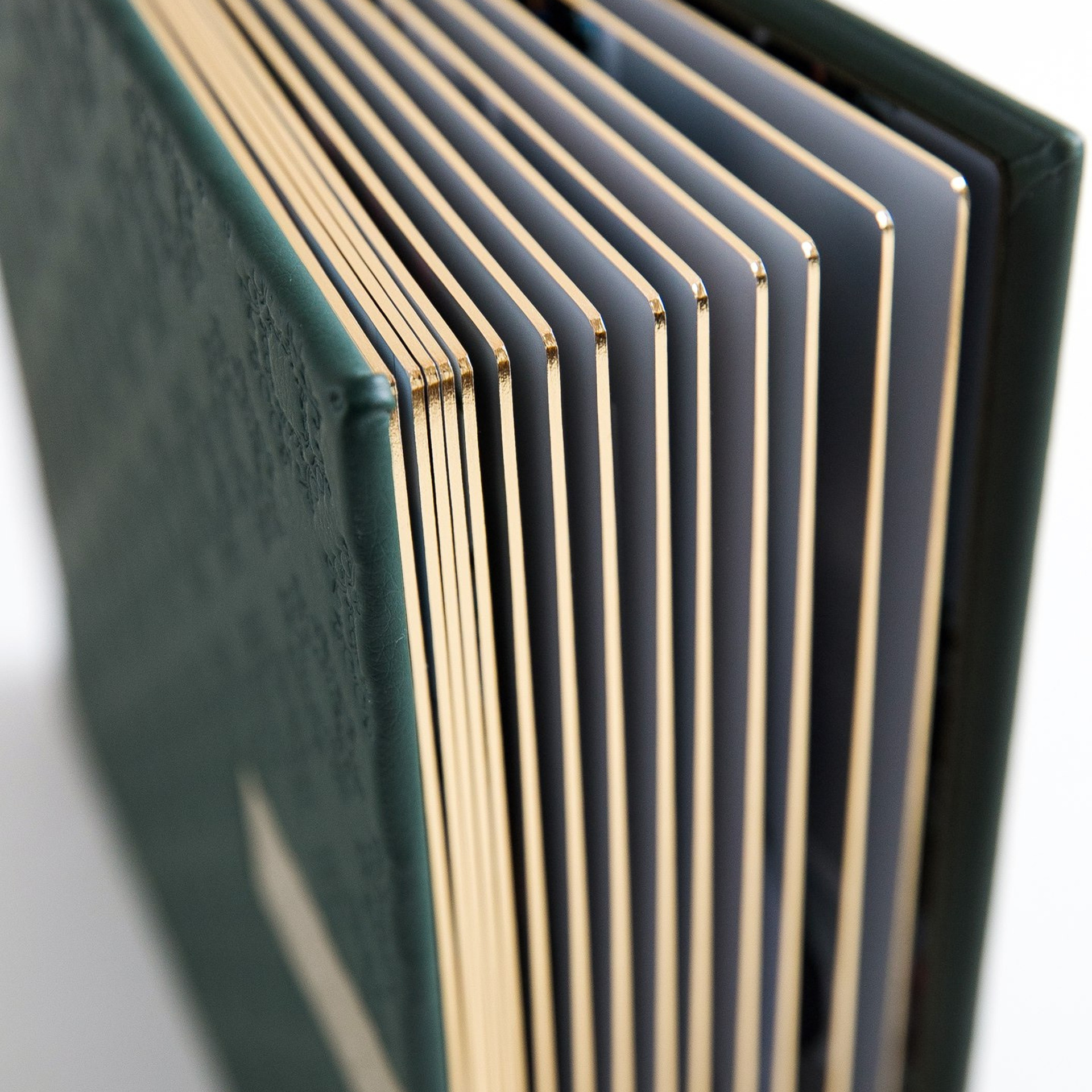 Эко-кожа. Семейный и свадебный фотограф в Санкт-Петербурге Таша Семёнова