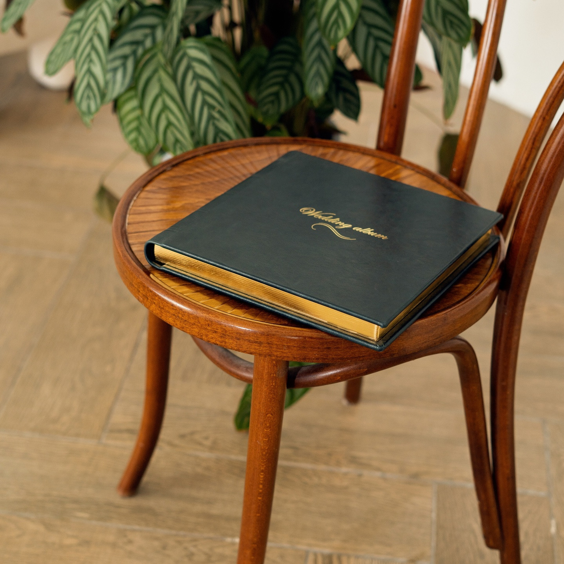 Эко-кожа. Семейный и свадебный фотограф в Санкт-Петербурге Таша Семёнова