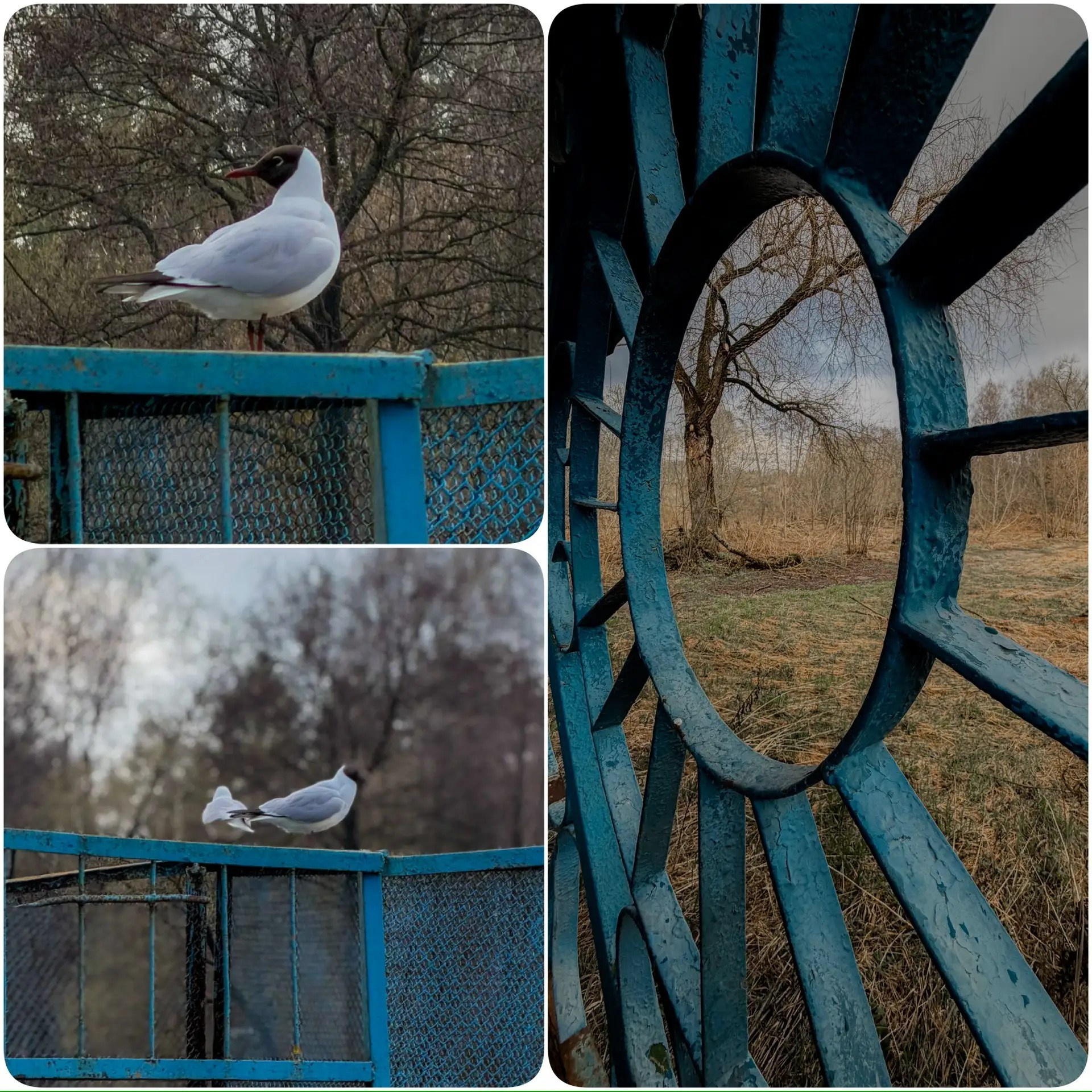 НАТАША