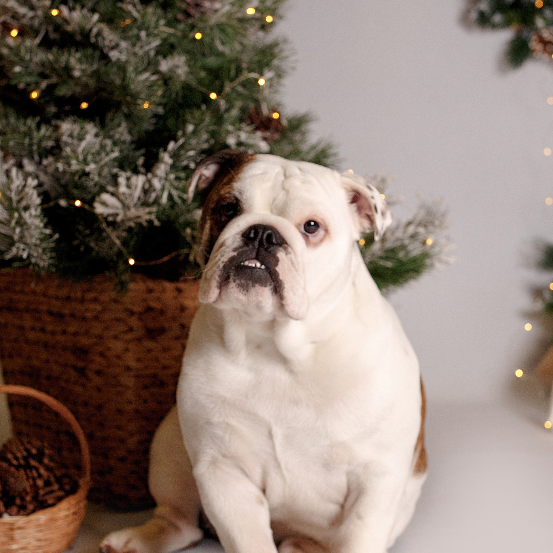 Отзывы. Семейный и детский фотограф в Ярославле