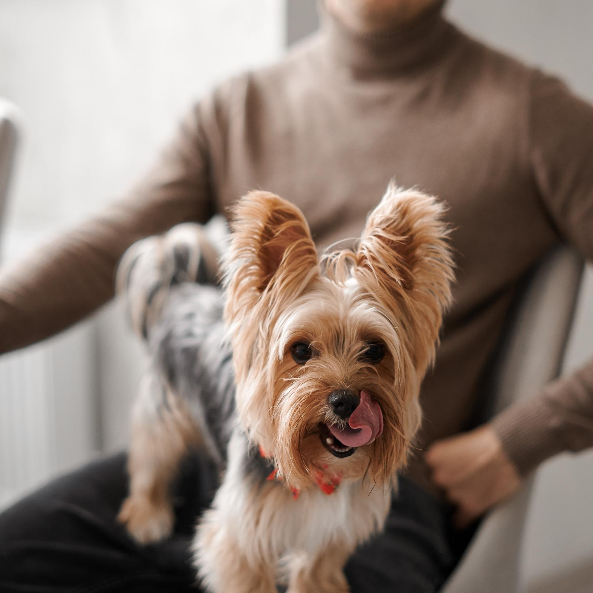 Домашняя новогоднняя история. Свадебный и семейный фотограф Михаил Галабурдин и Анна Завадская. Рост
