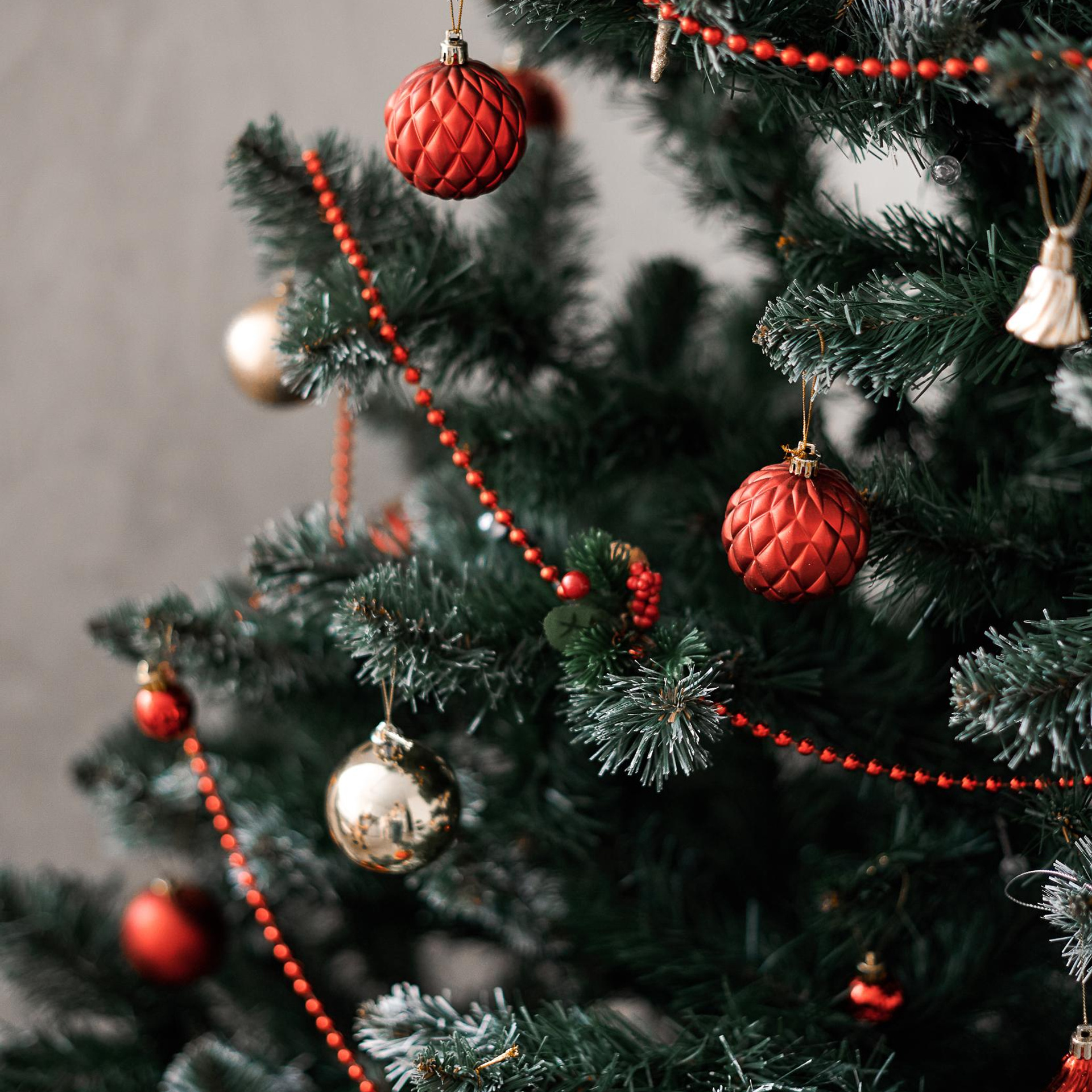 Домашняя новогоднняя история. Свадебный и семейный фотограф Михаил Галабурдин и Анна Завадская. Рост