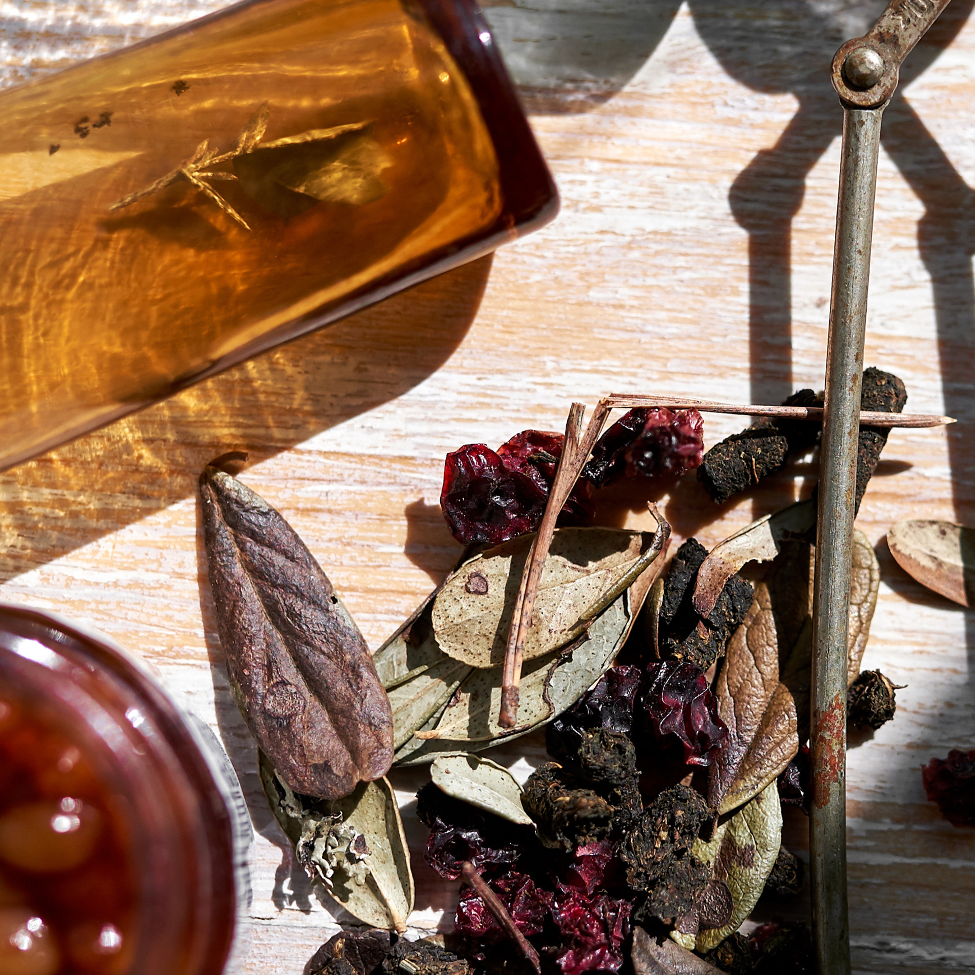 Виноград. Свадебный и семейный фотограф Михаил Галабурдин и Анна Завадская. Рост