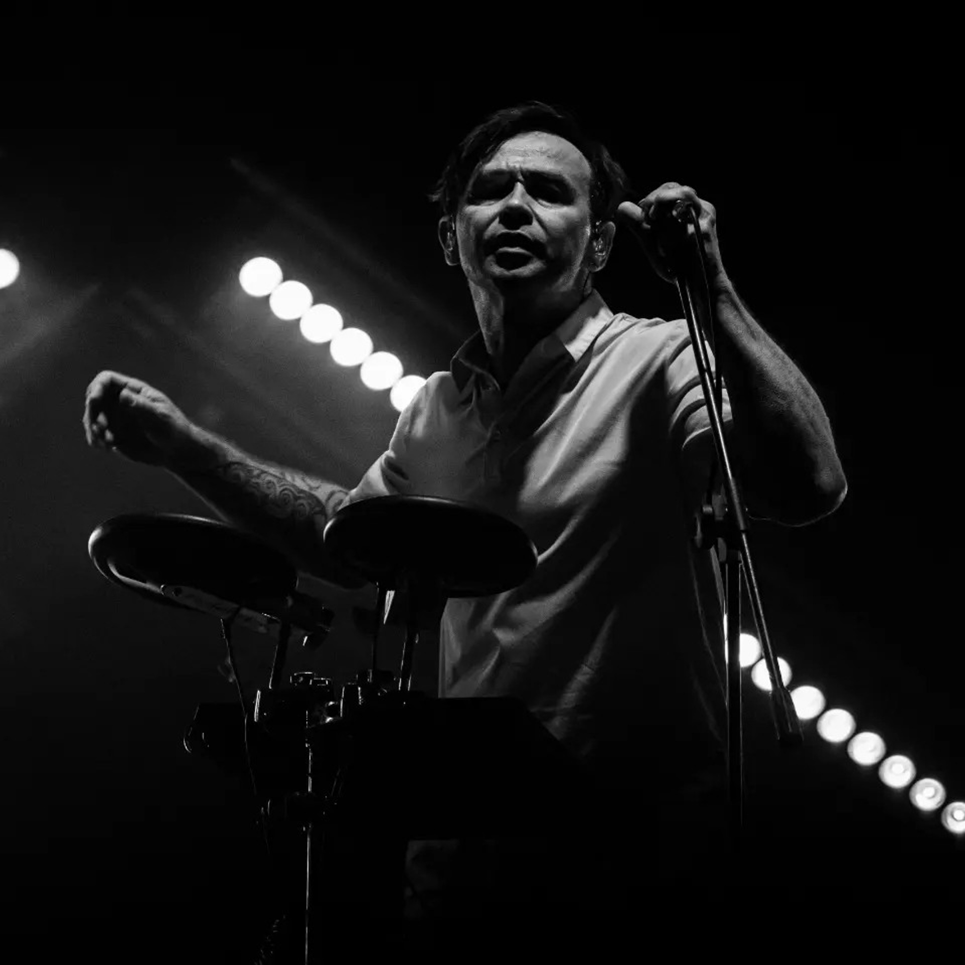 Дельфин | Red Summer