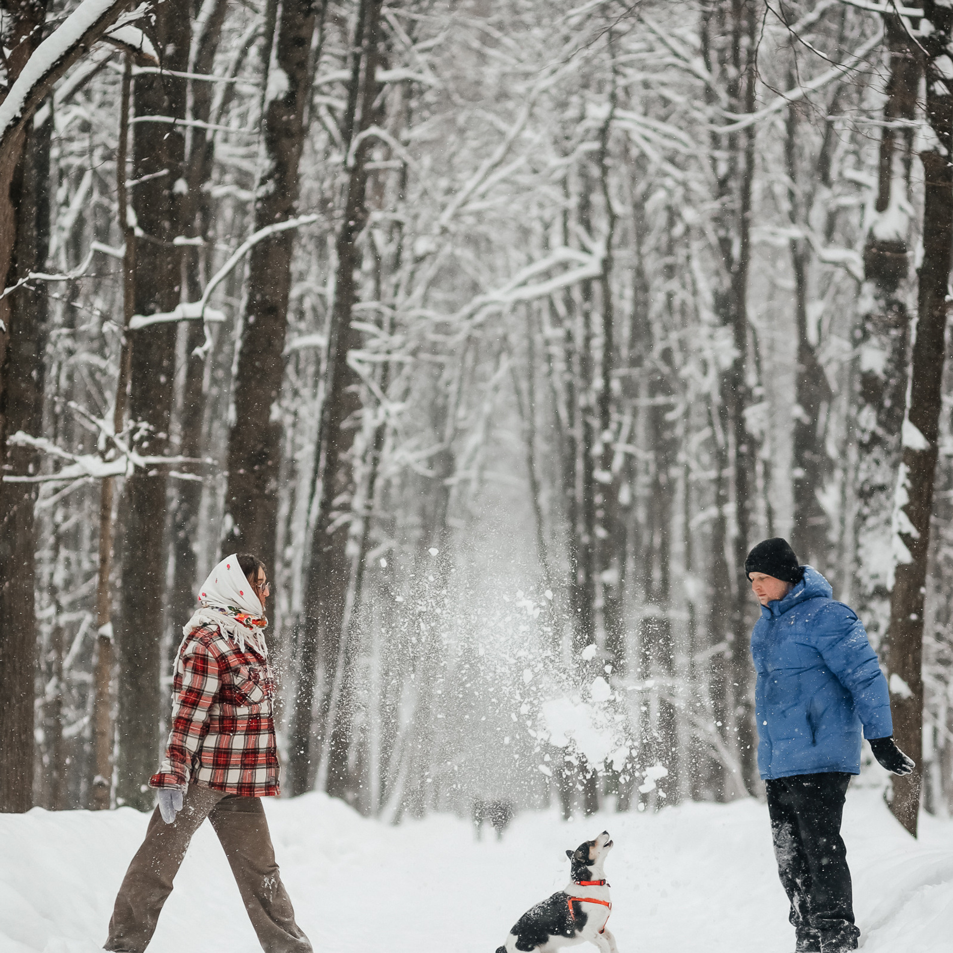 Отзывы. Семейный и свадебный фотограф в Москве Ксения Герасимова