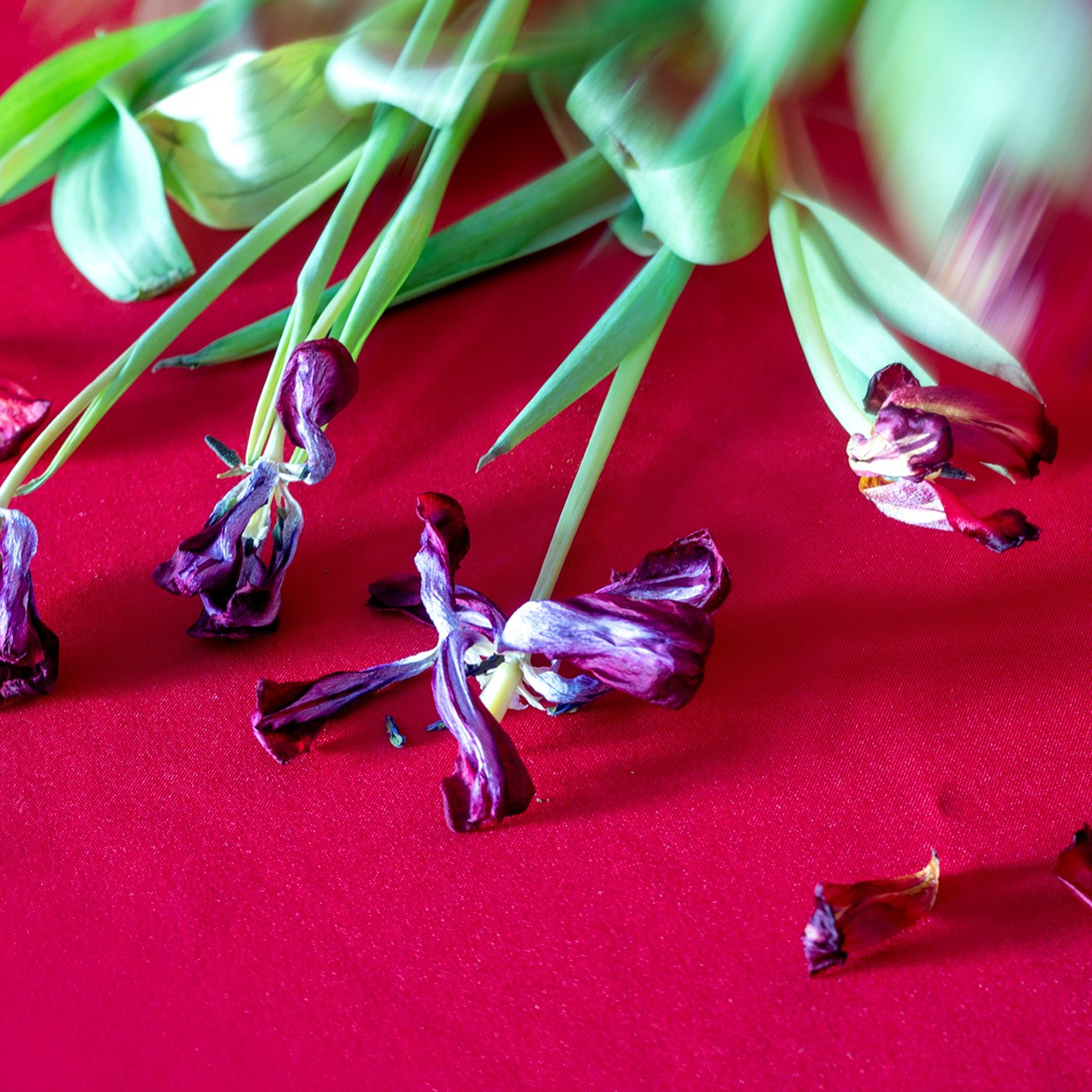 Пейзажи, натюрморты, урбанистика. Фотограф в Нефтеюганске Чтенцова Юлия