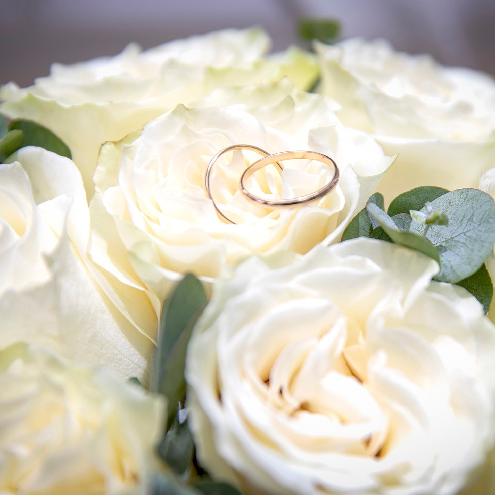 Банкеты, Дни рождения, Свадьбы