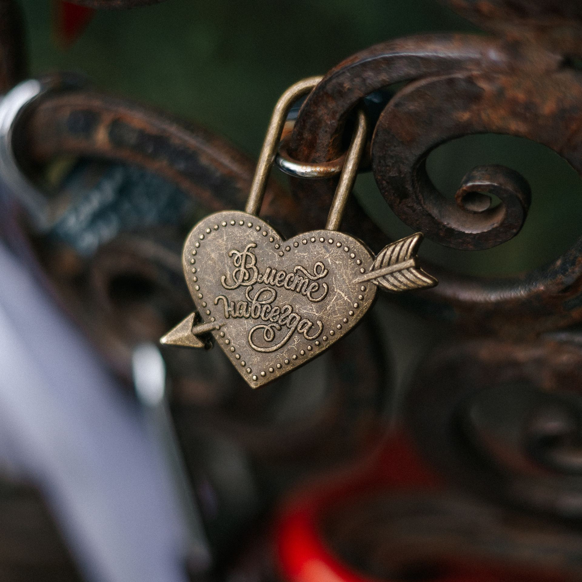 Отзывы. Свадебный и семейный фотограф в Красноярске Анастасия Турчанова