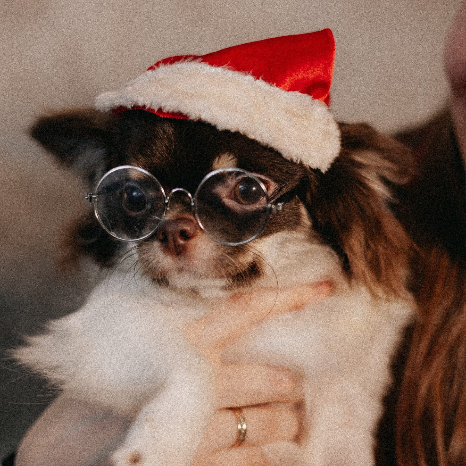 Отзывы. Свадебный и семейный фотограф в Красноярске Анастасия Турчанова