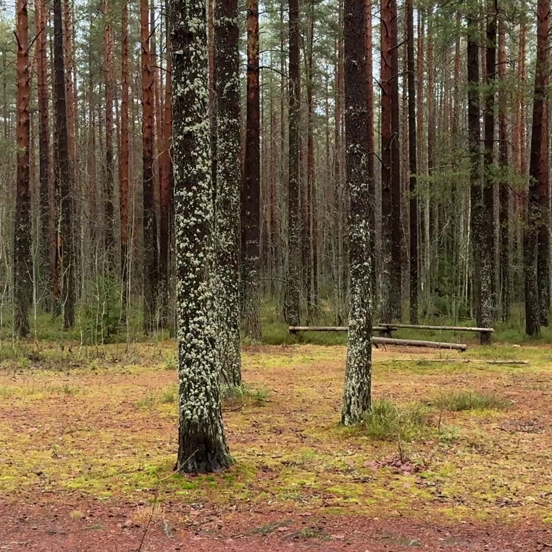 Мобилография. Коммерческий Фотограф Виктор Фоменых