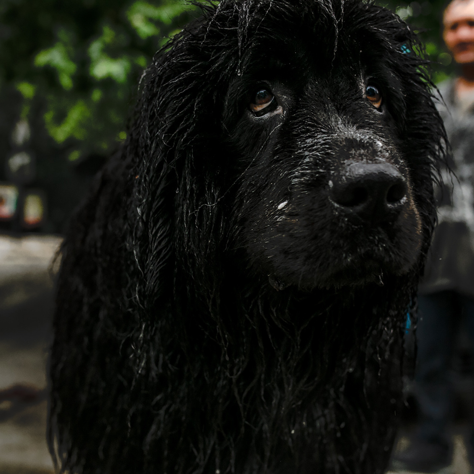 Наводнение в Ялте 18.06.2021. Свадебный фотограф ростов-на-Дону / Сочи / Москва