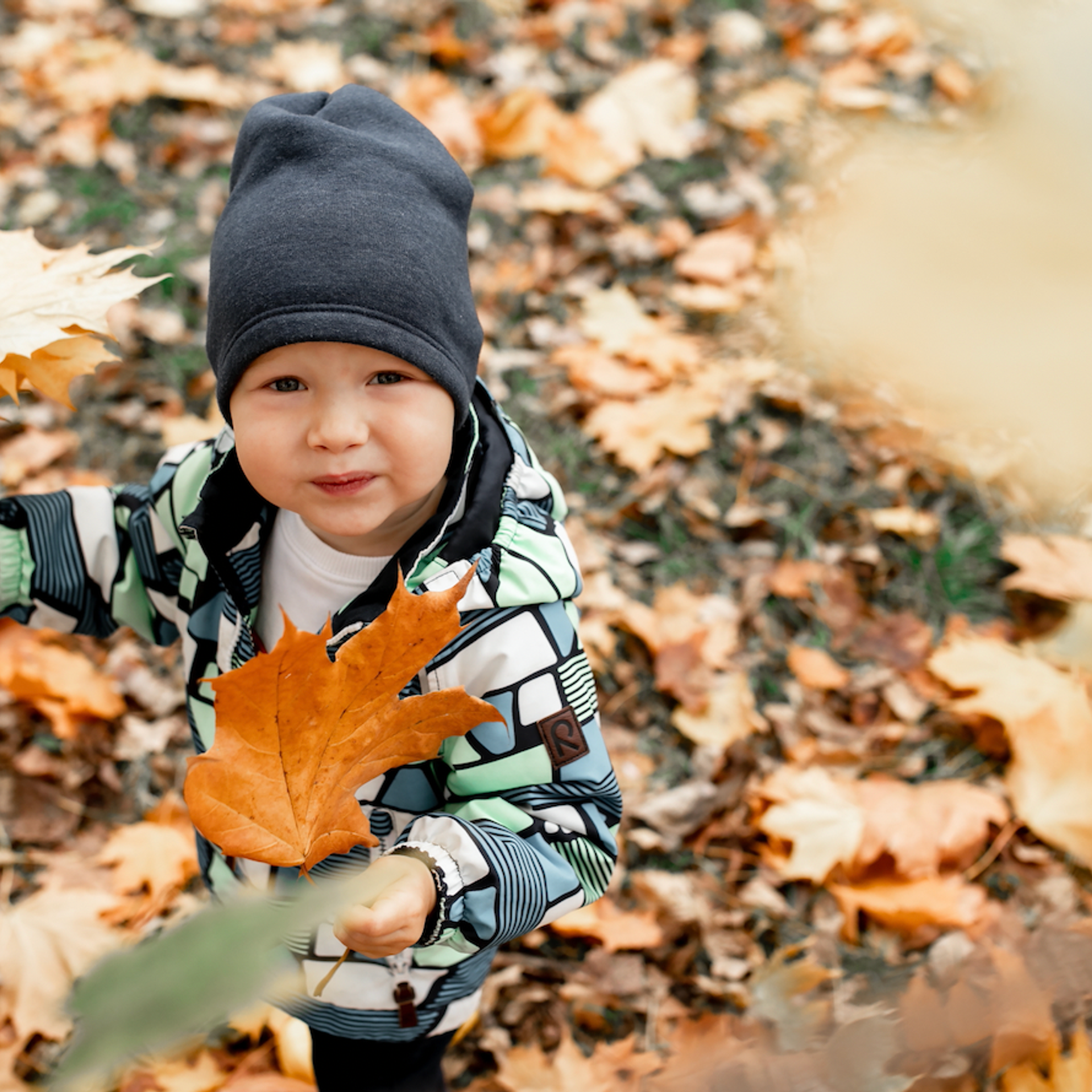 Семейная съемка. Воронцовский парк. Свадебный фотограф ростов-на-Дону / Сочи / Москва