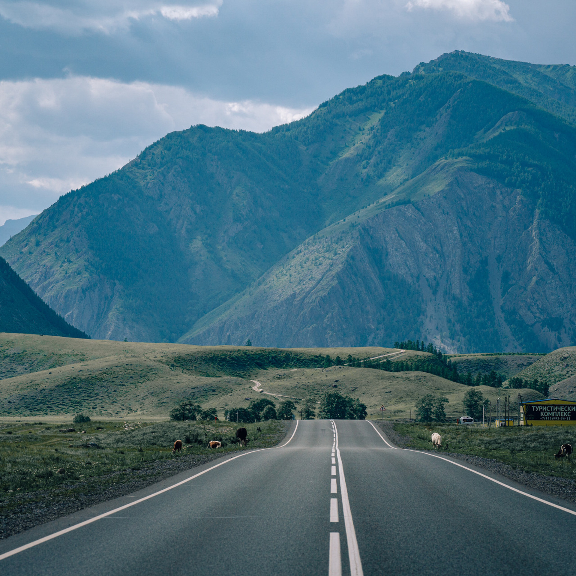 Отзывы. Фотограф в Крыму Анастасия Оллилайнен