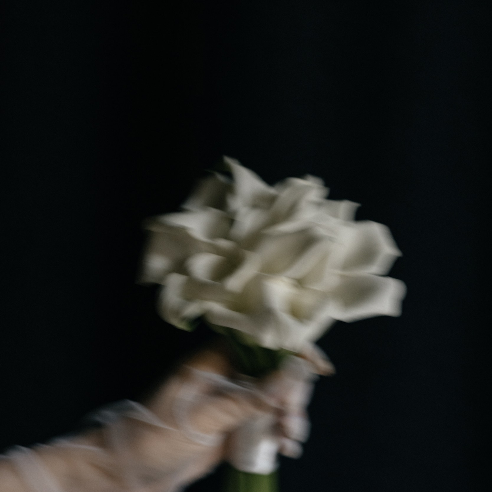 Отзывы. Wedding PHOTOGRAPHER Andrew Vnukov