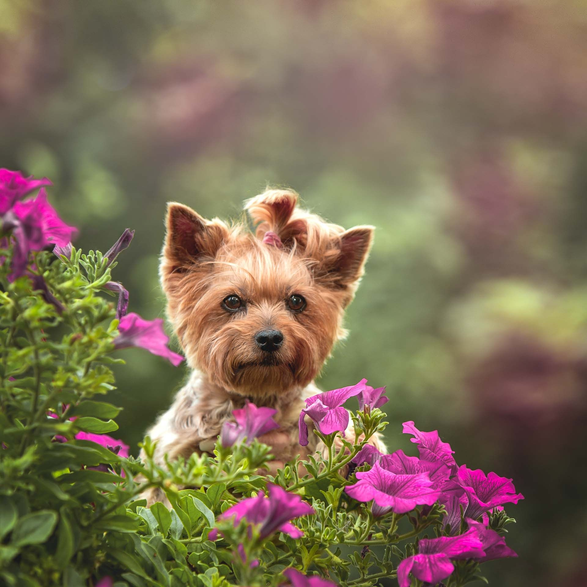 Отзывы о фотографе Мячиковой Наталье. Детский и семейный фотограф в Нижнем Новгороде Мячикова Наталья