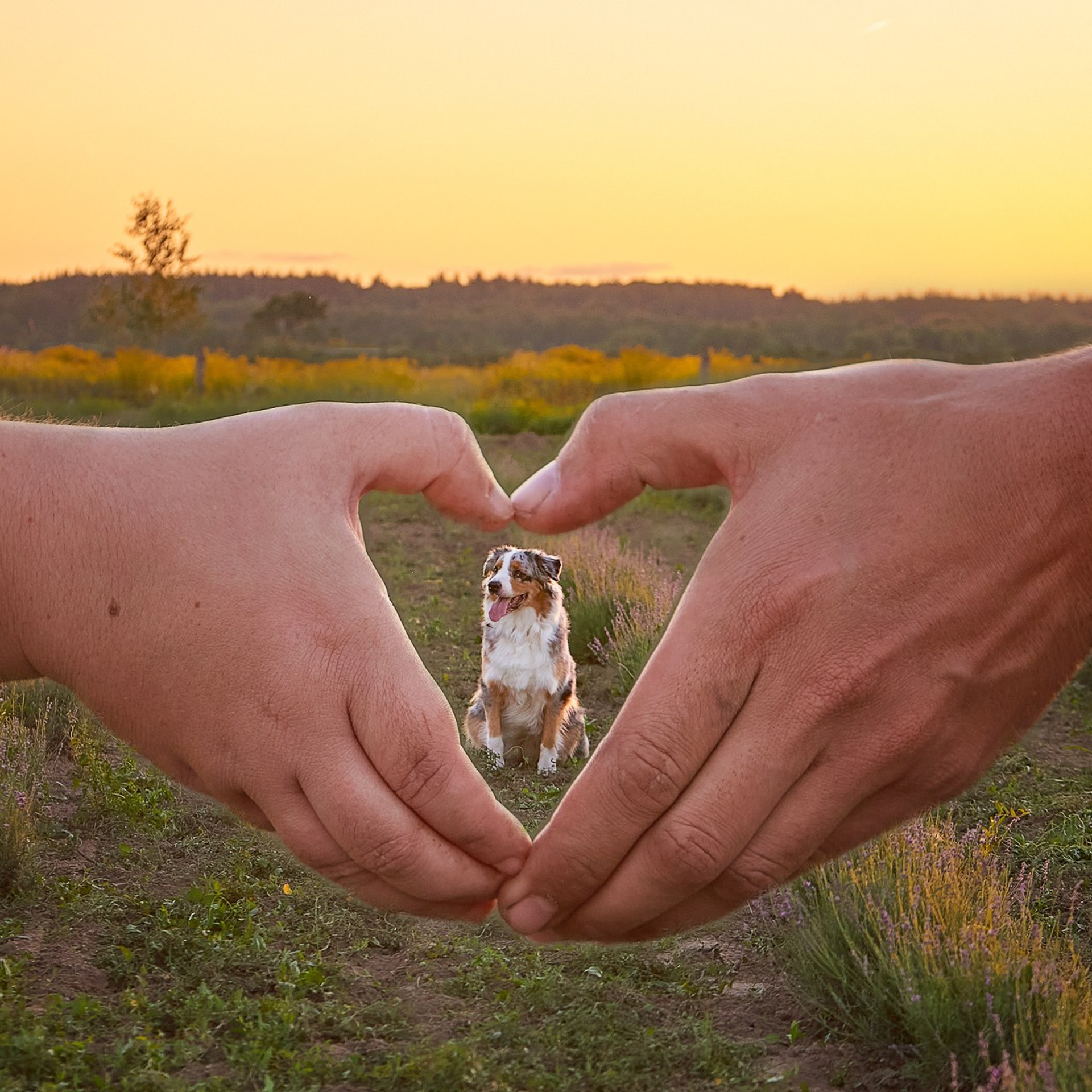 Отзывы о фотографе Мячиковой Наталье. Детский и семейный фотограф в Нижнем Новгороде Мячикова Наталья