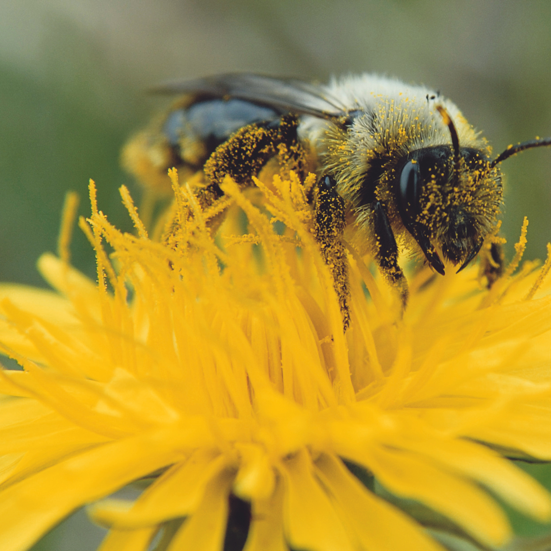 Природа. Авторские фотографии Романа Бубнова