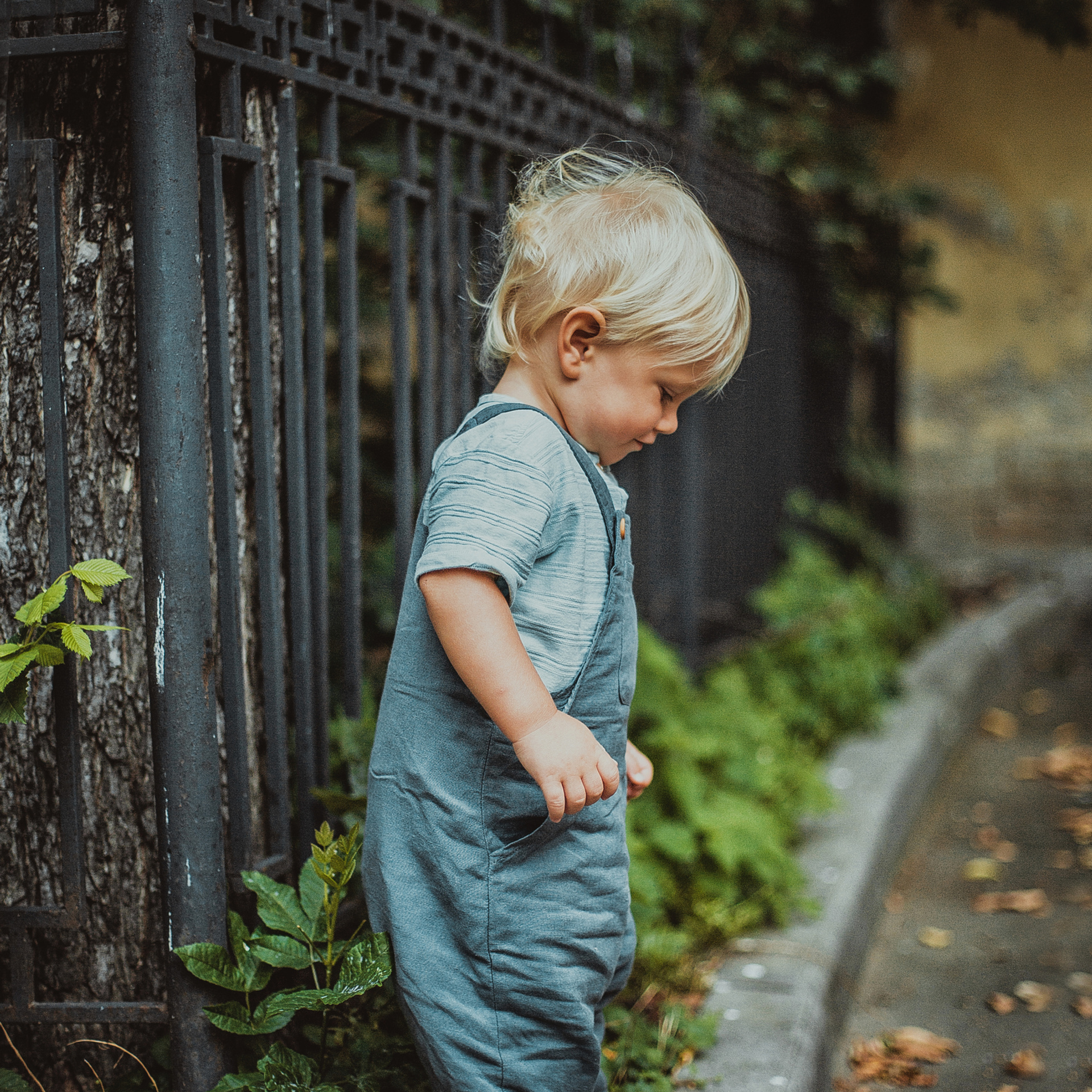 Тео и другие). Детский, свадебный и семейный фотограф Юлия Курбатова, Санкт-Петербург