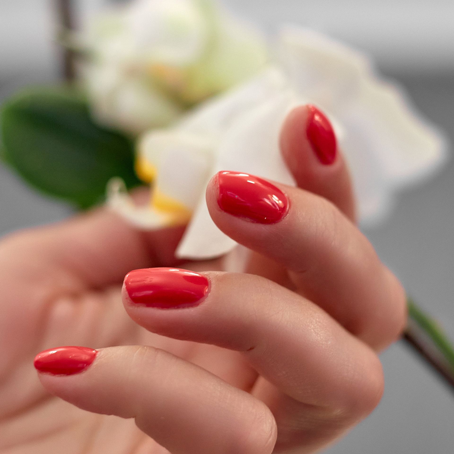 Салон Красоты. Андрей Дудкин. Контент фотограф в Москве